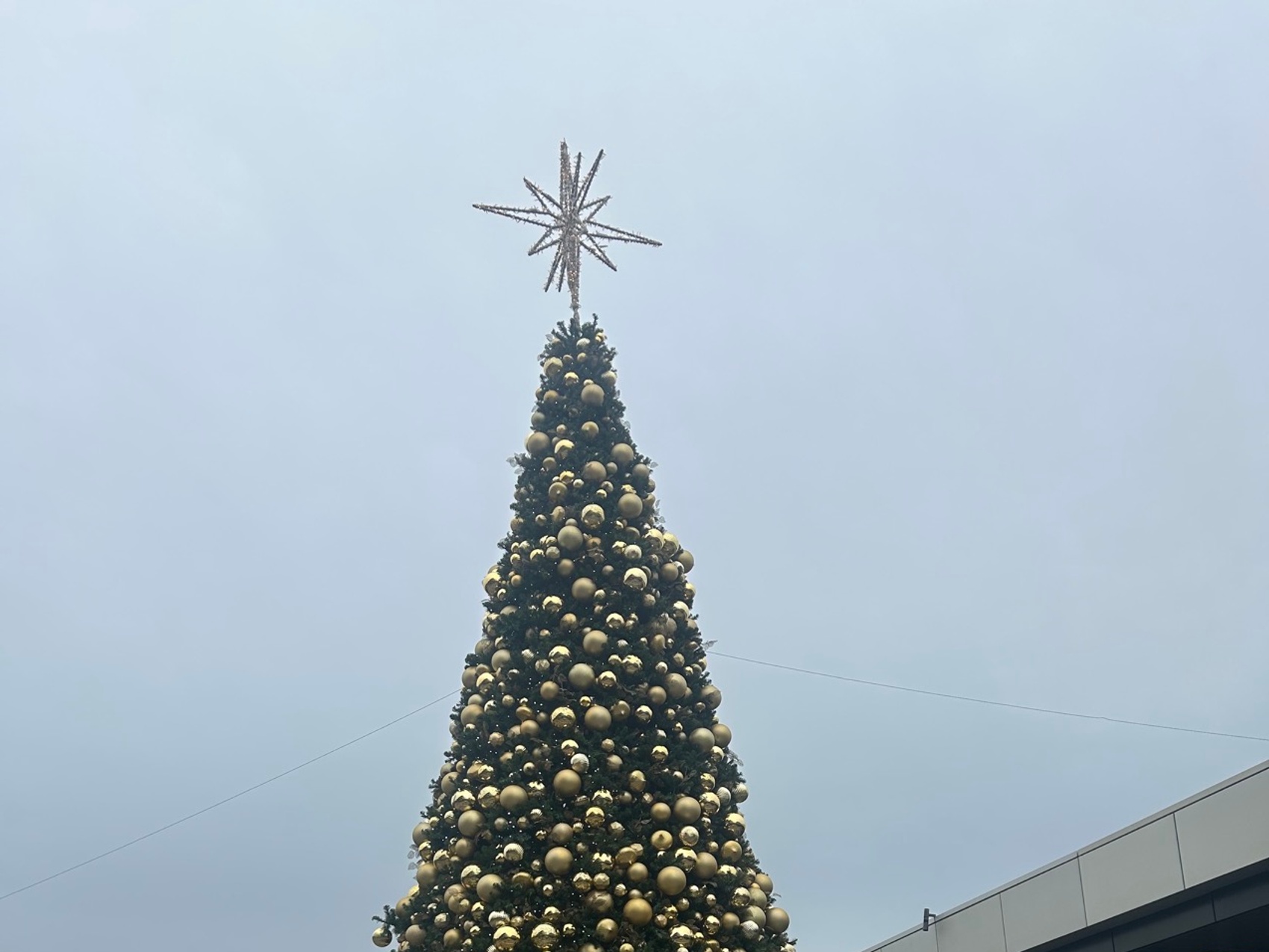 kacper michalik : 543