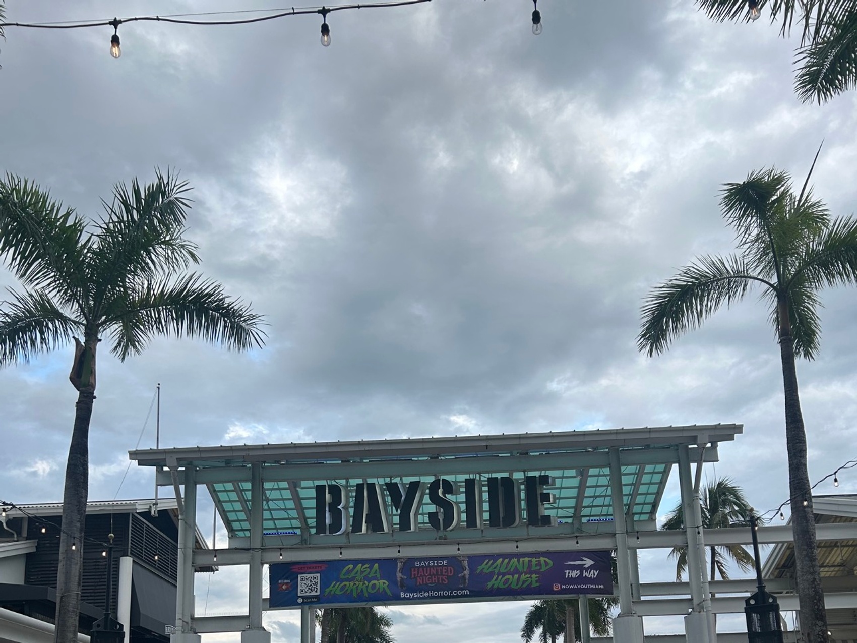 kacper michalik : 349