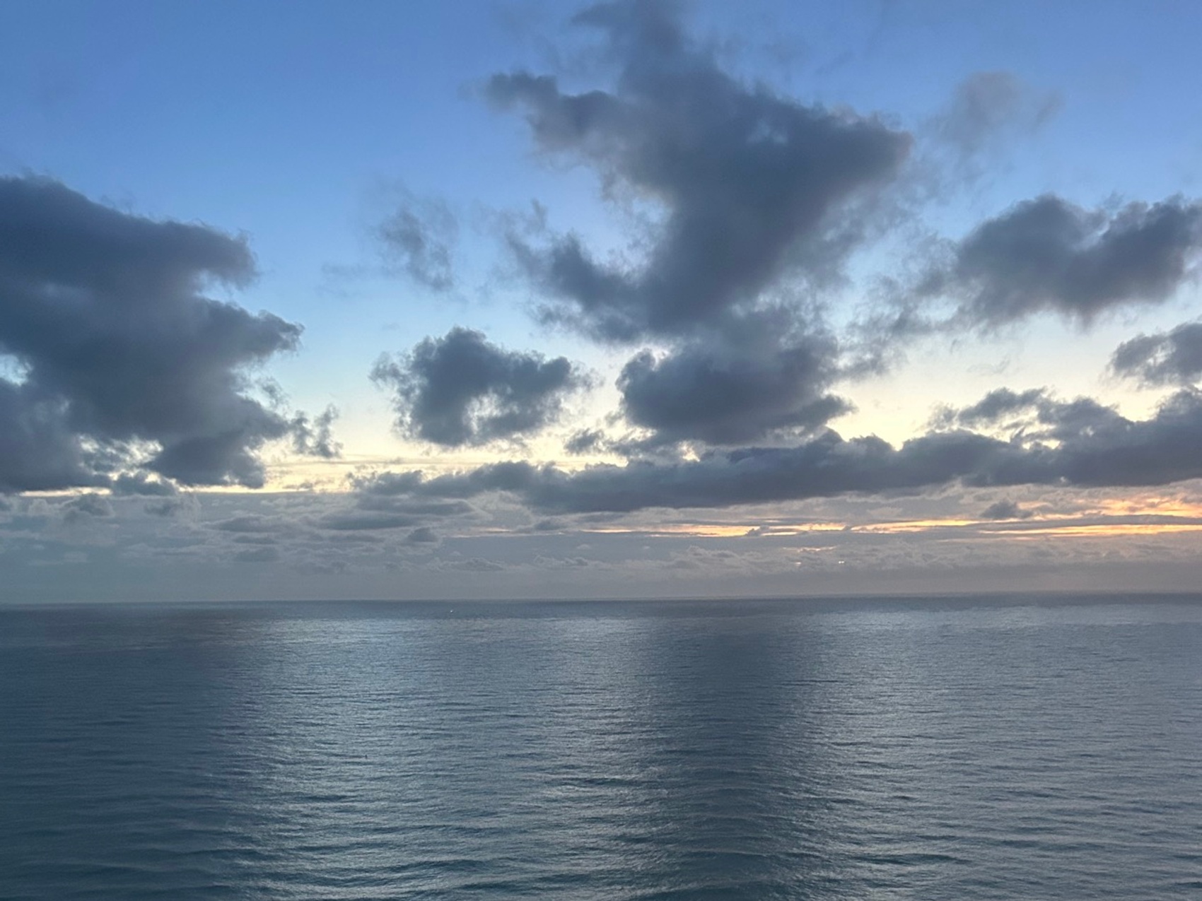 kacper michalik : 355