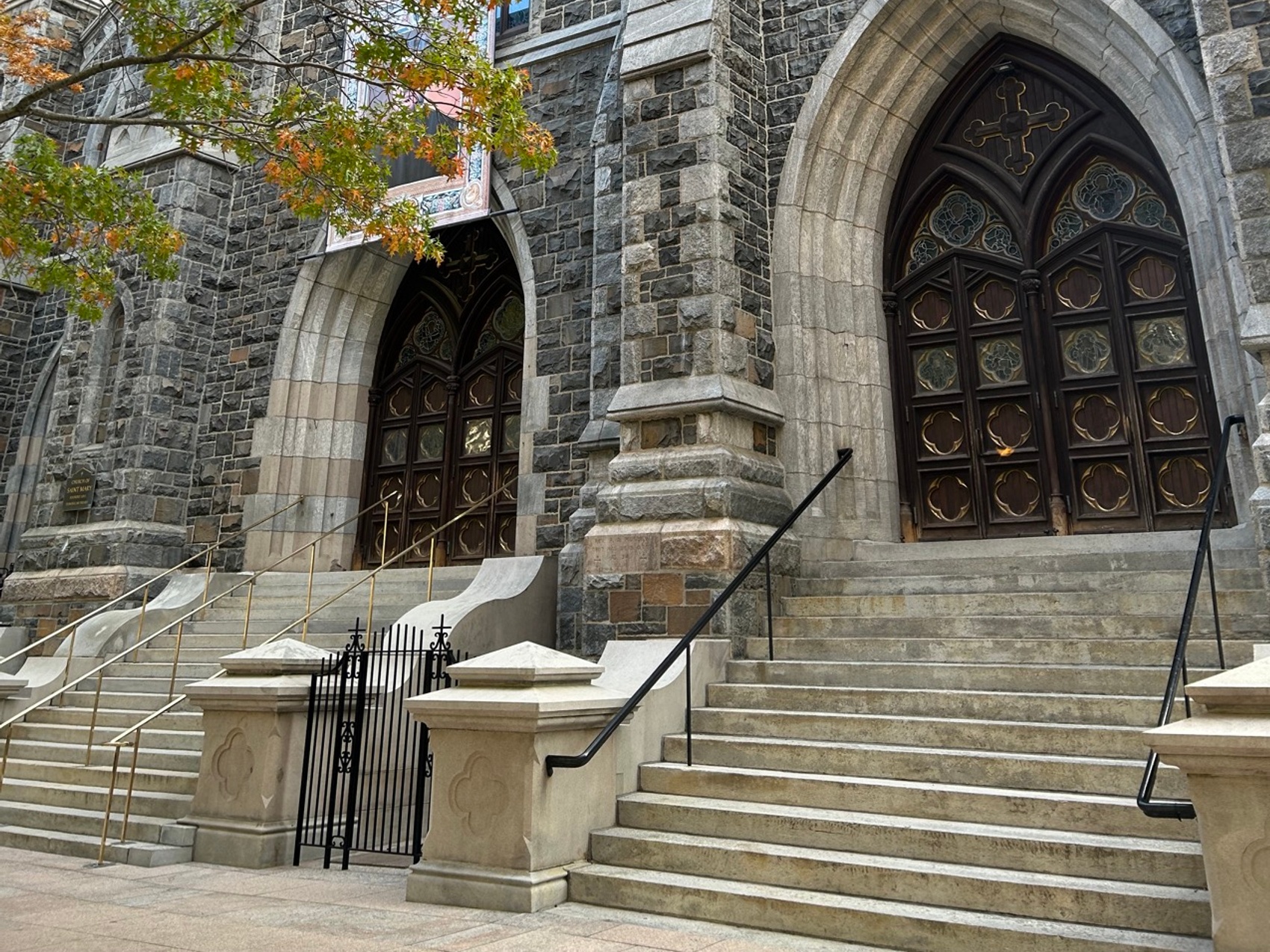 kacper michalik : 11