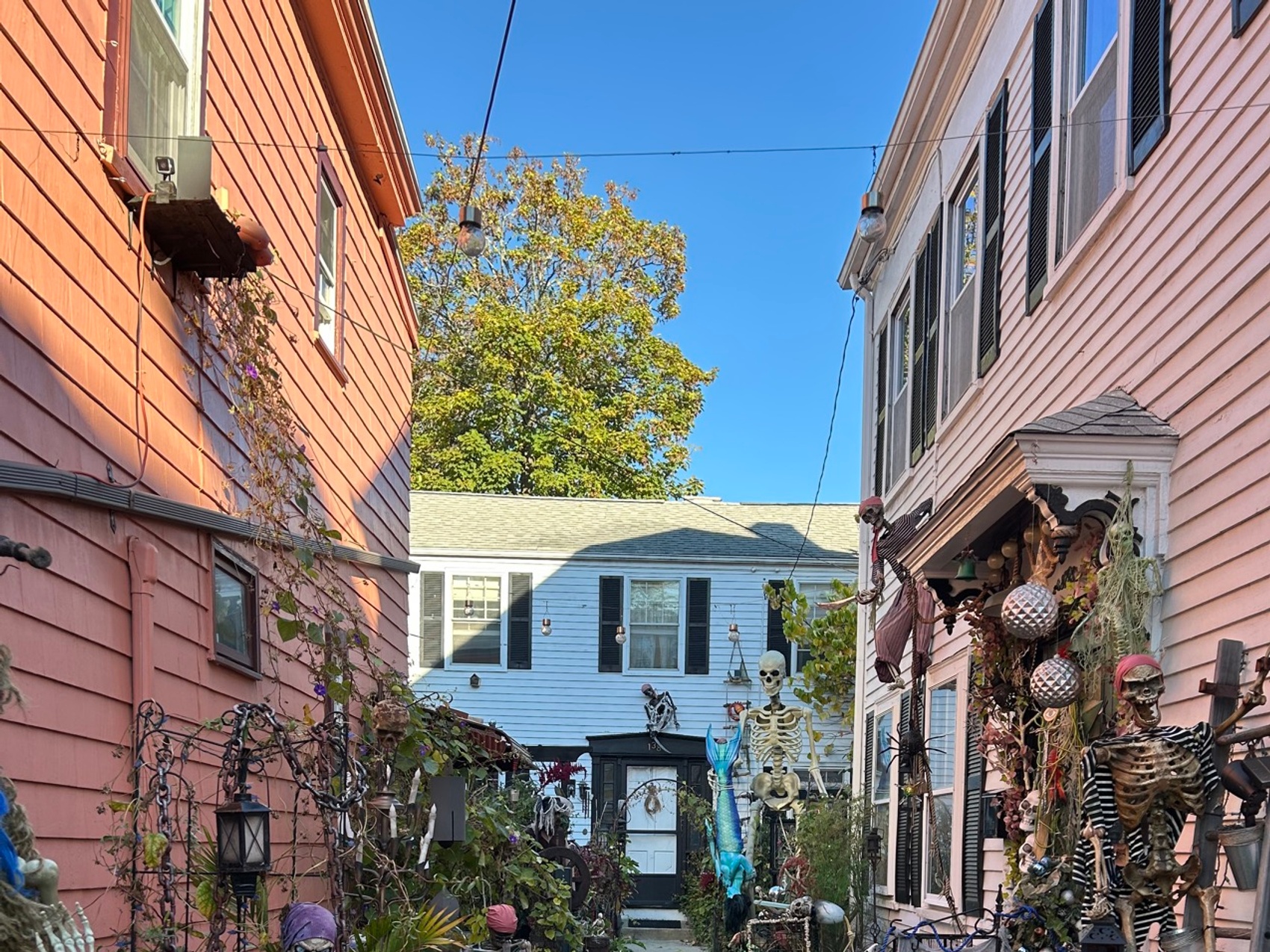 kacper michalik : 39