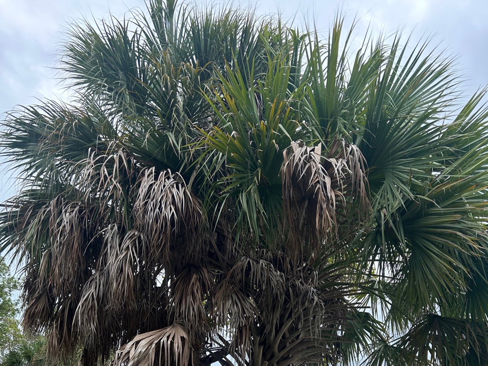 kacper michalik : 331