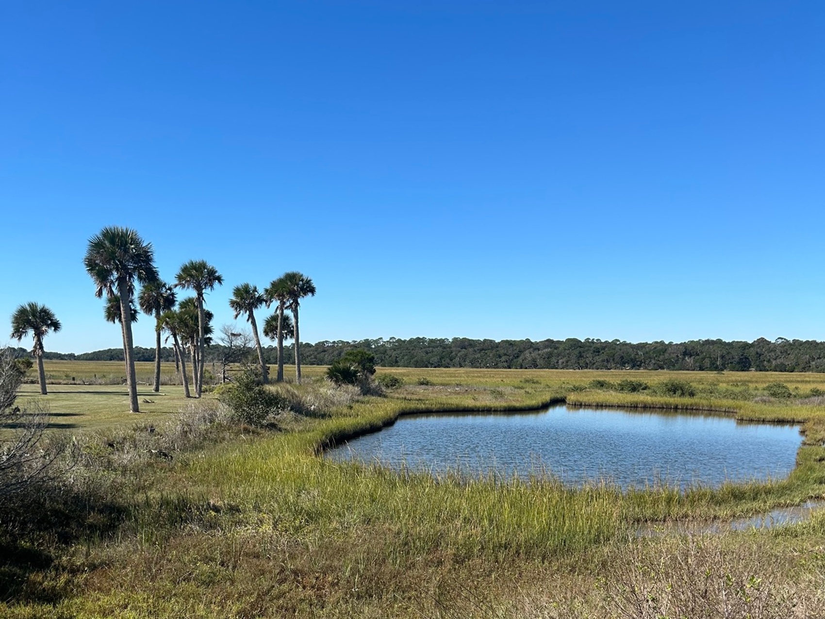 kacper michalik : 216