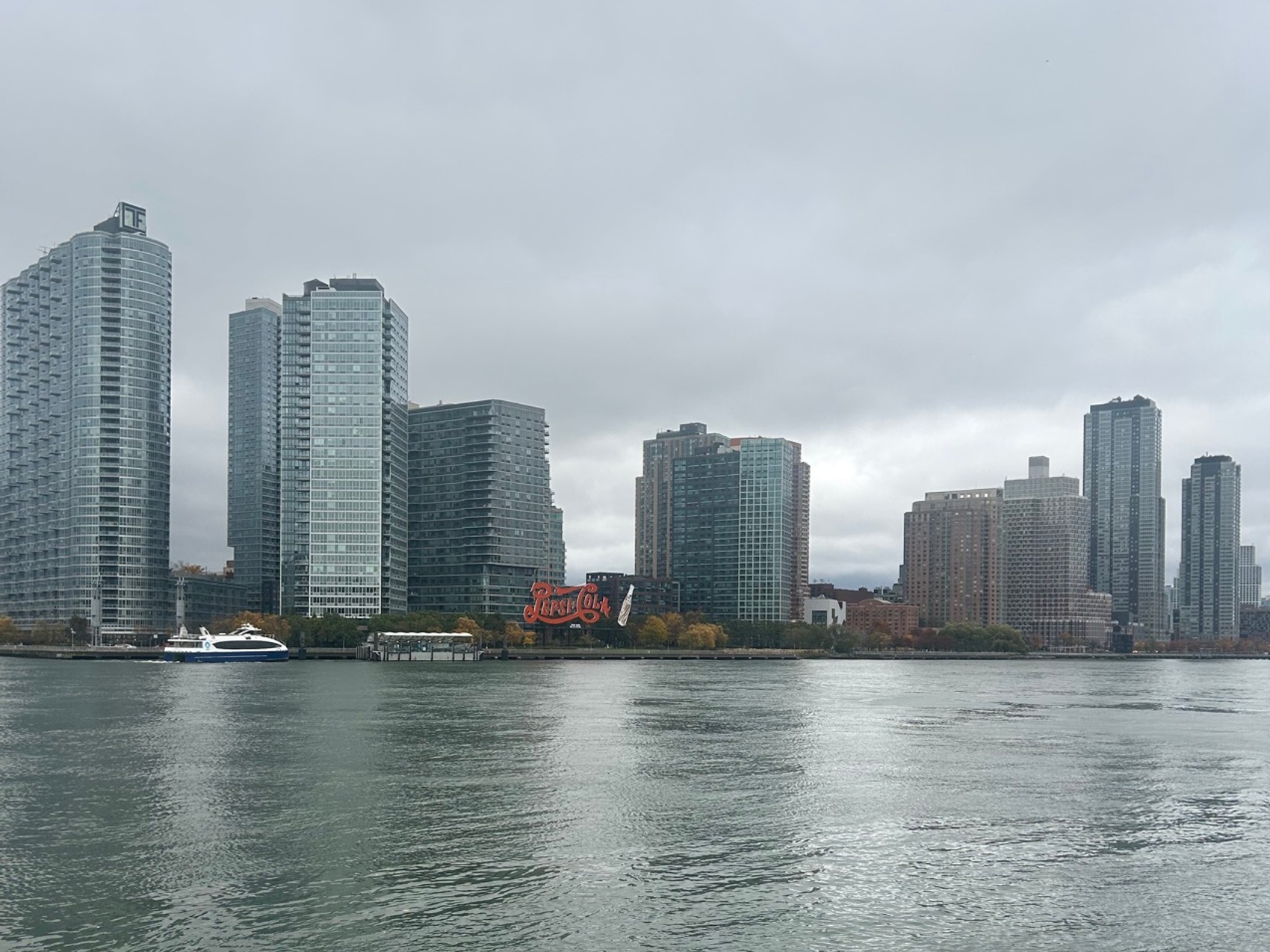 kacper michalik : 555