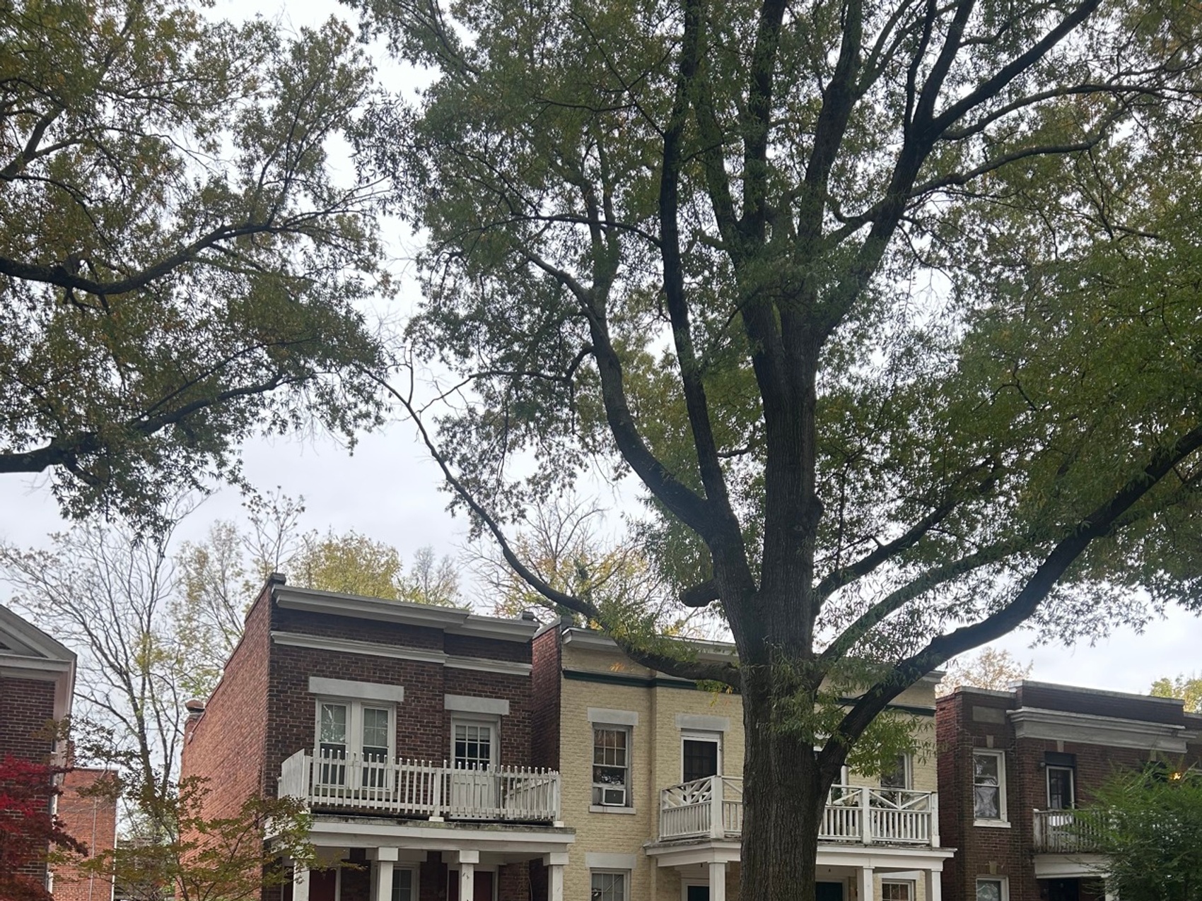 kacper michalik : 167