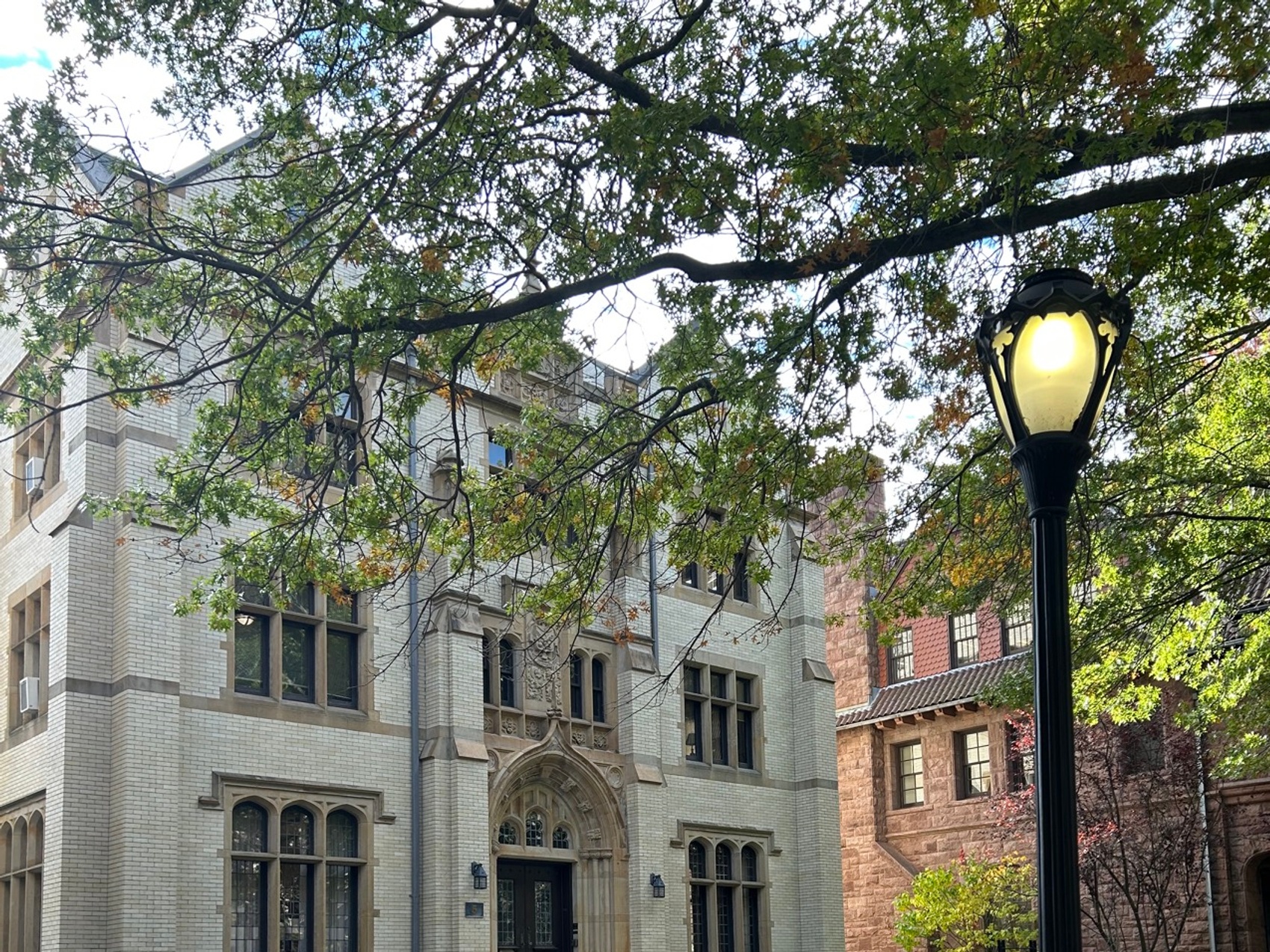 kacper michalik : 12