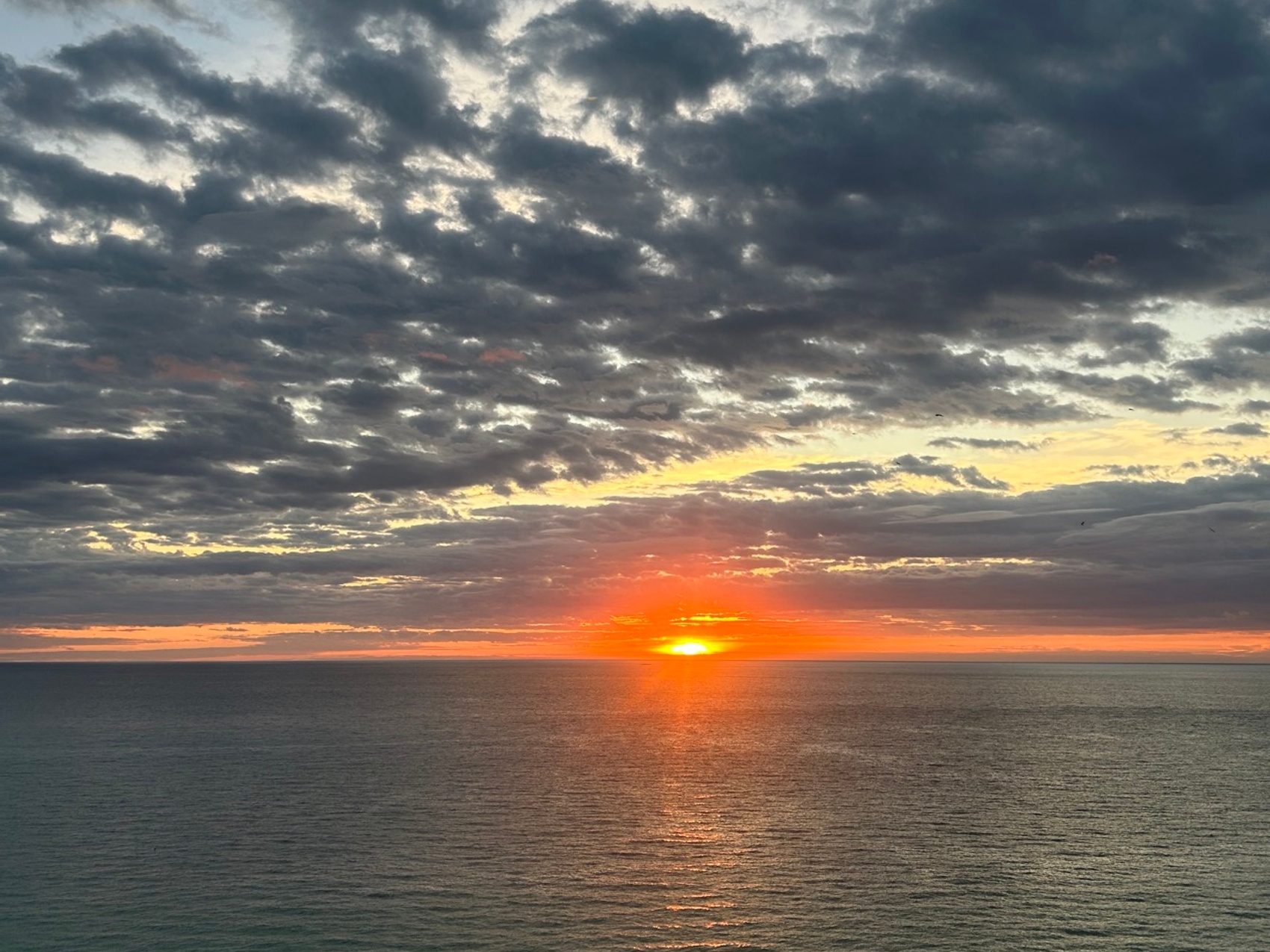 kacper michalik : 305