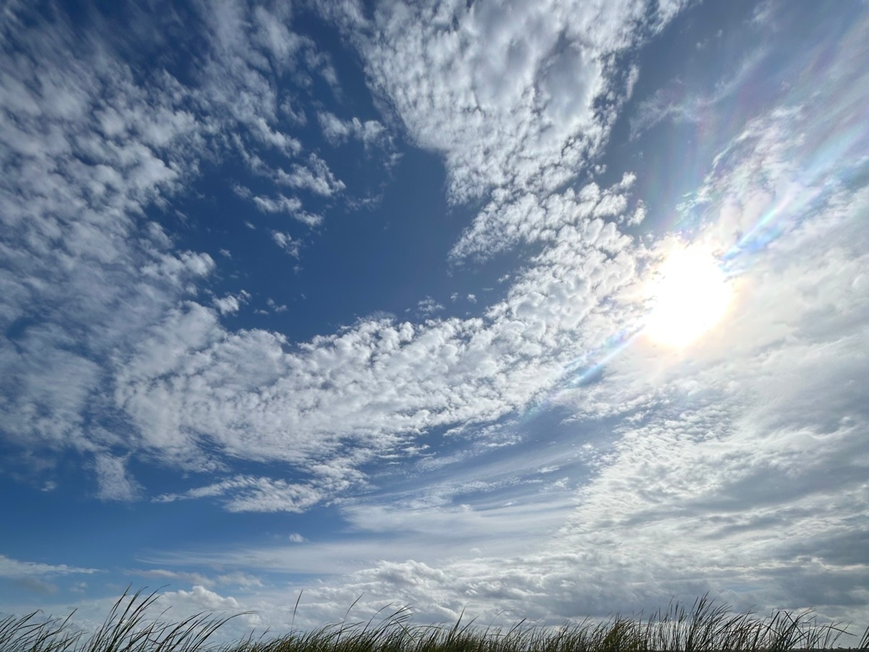 kacper michalik : 375