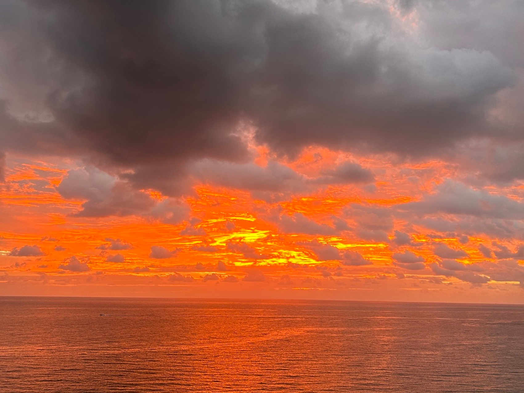 kacper michalik : 417