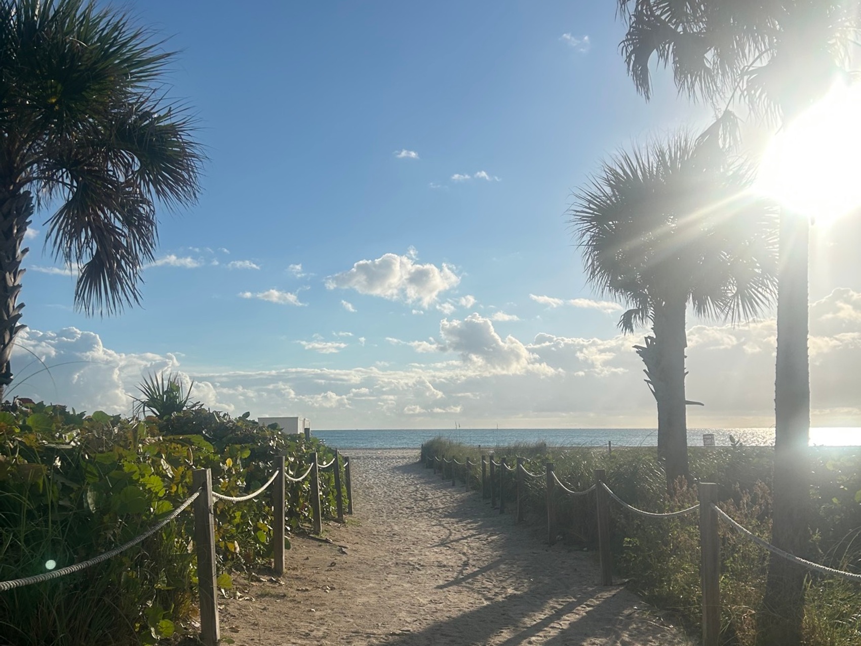 kacper michalik : 356