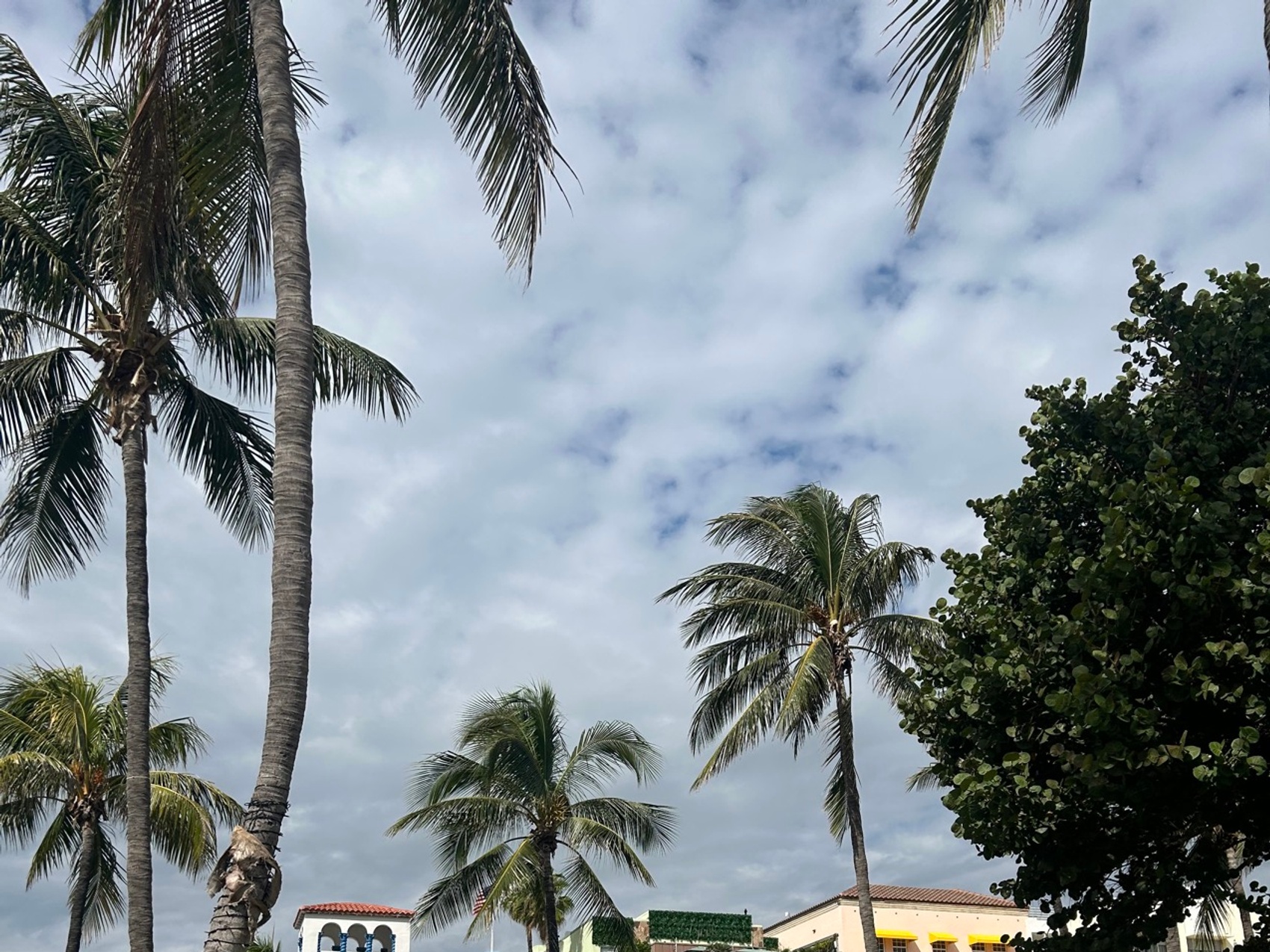 kacper michalik : 317