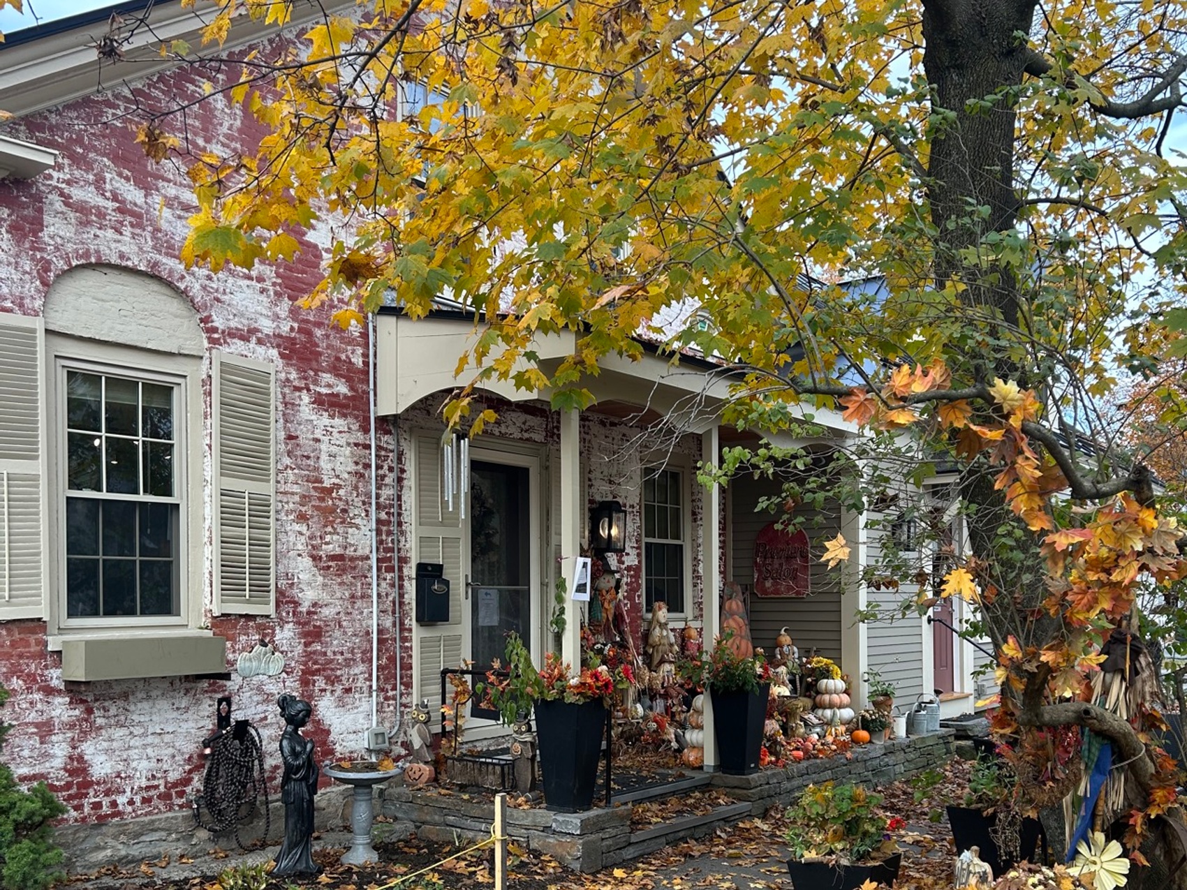 kacper michalik : 65