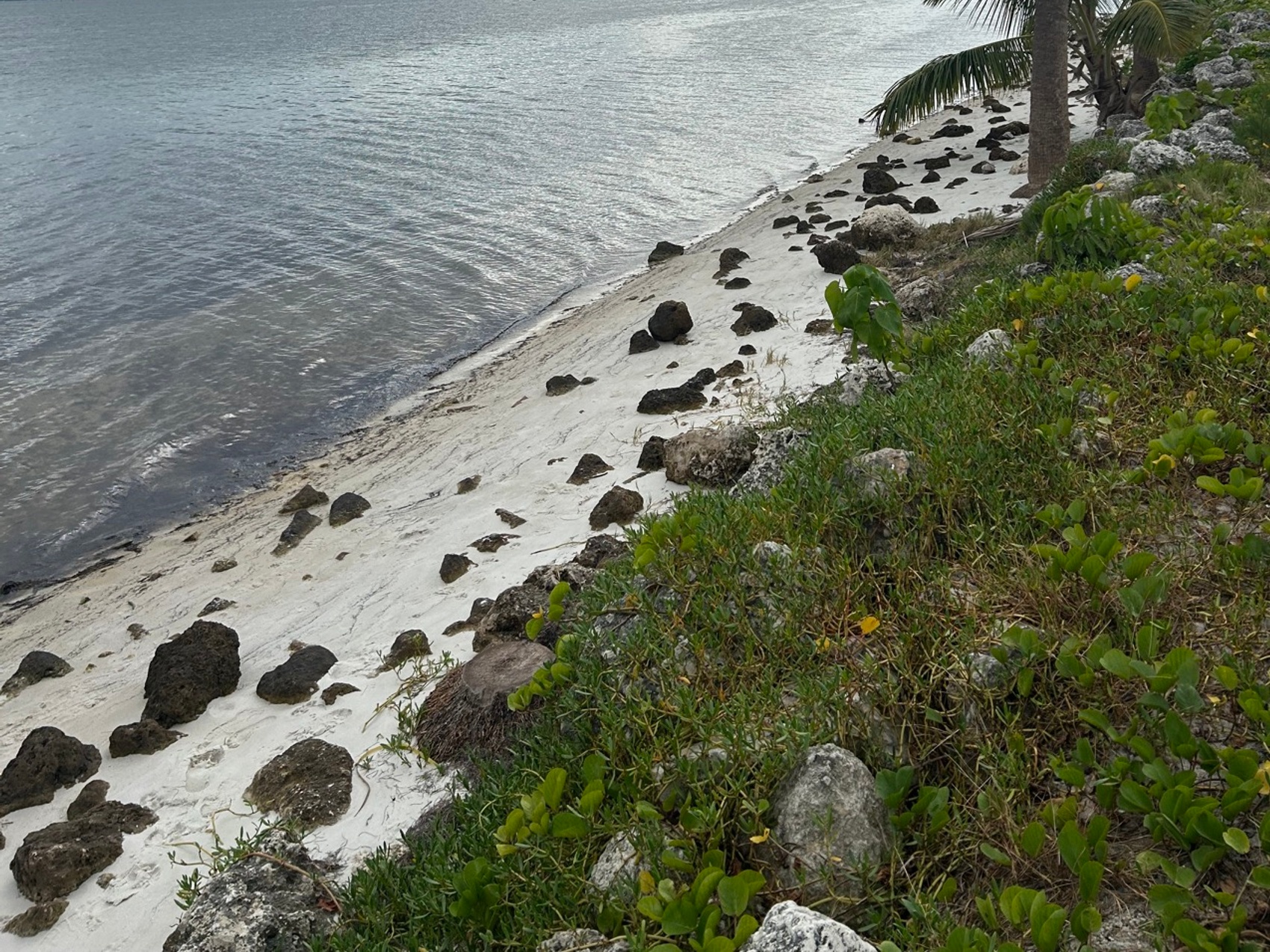 kacper michalik : 333