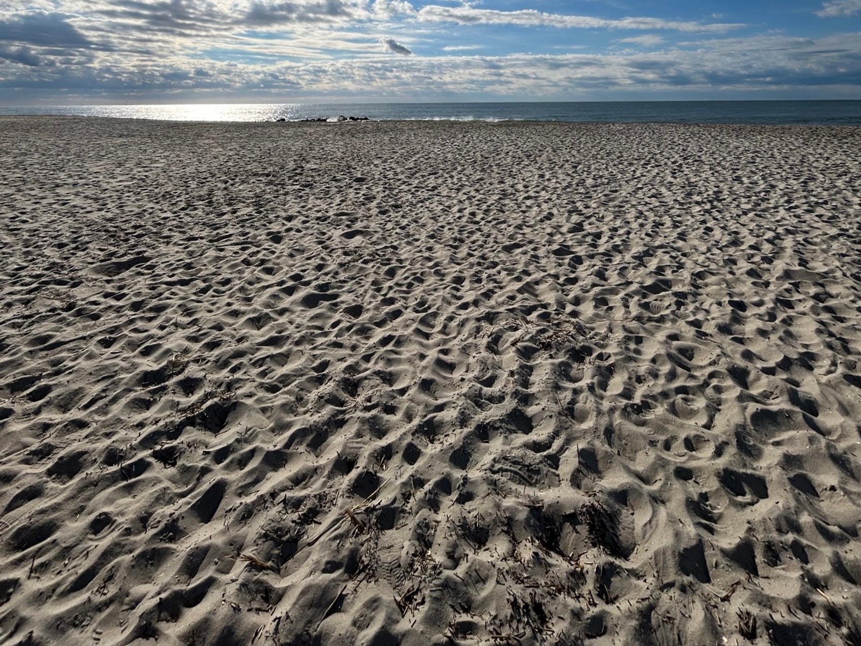 kacper michalik : 113