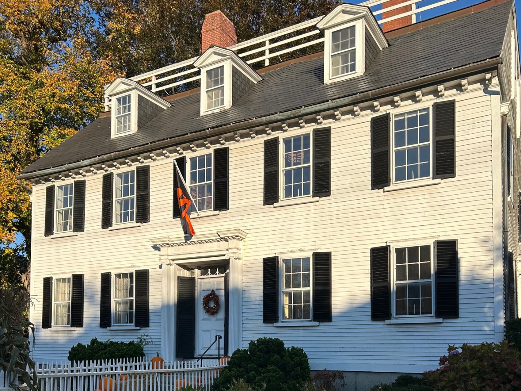 kacper michalik : 35