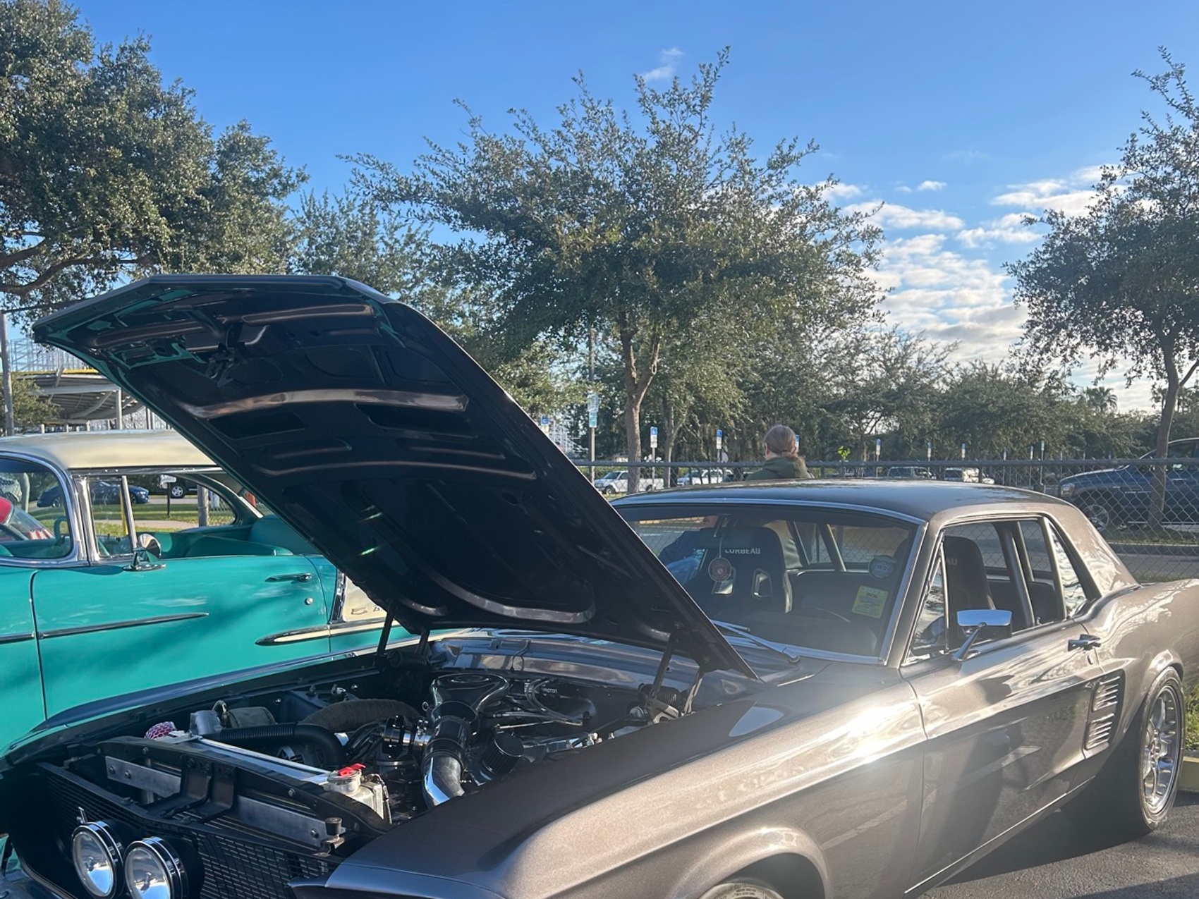 kacper michalik : 266