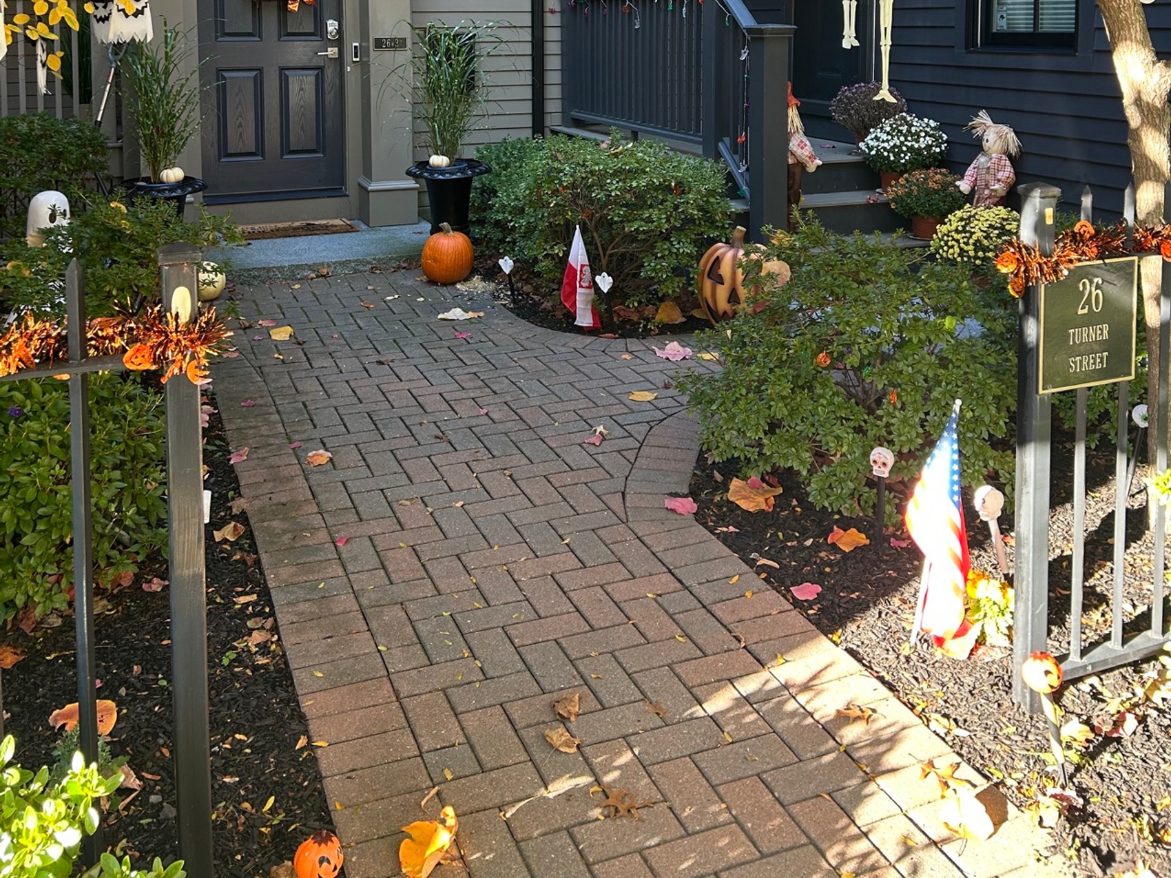 kacper michalik : 40