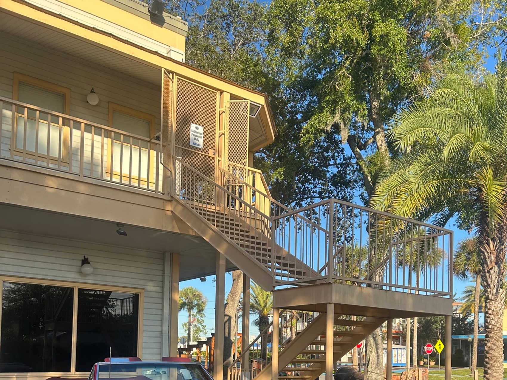 kacper michalik : 255