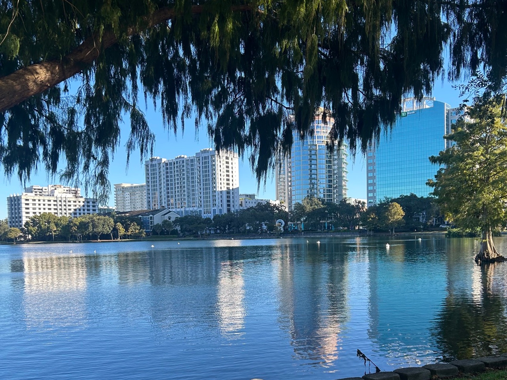 kacper michalik : 233