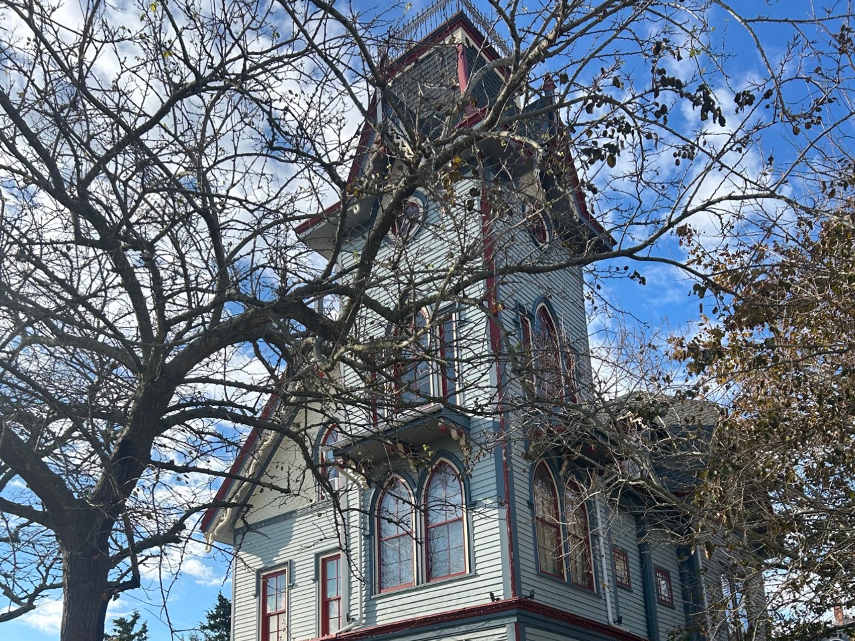 kacper michalik : 117