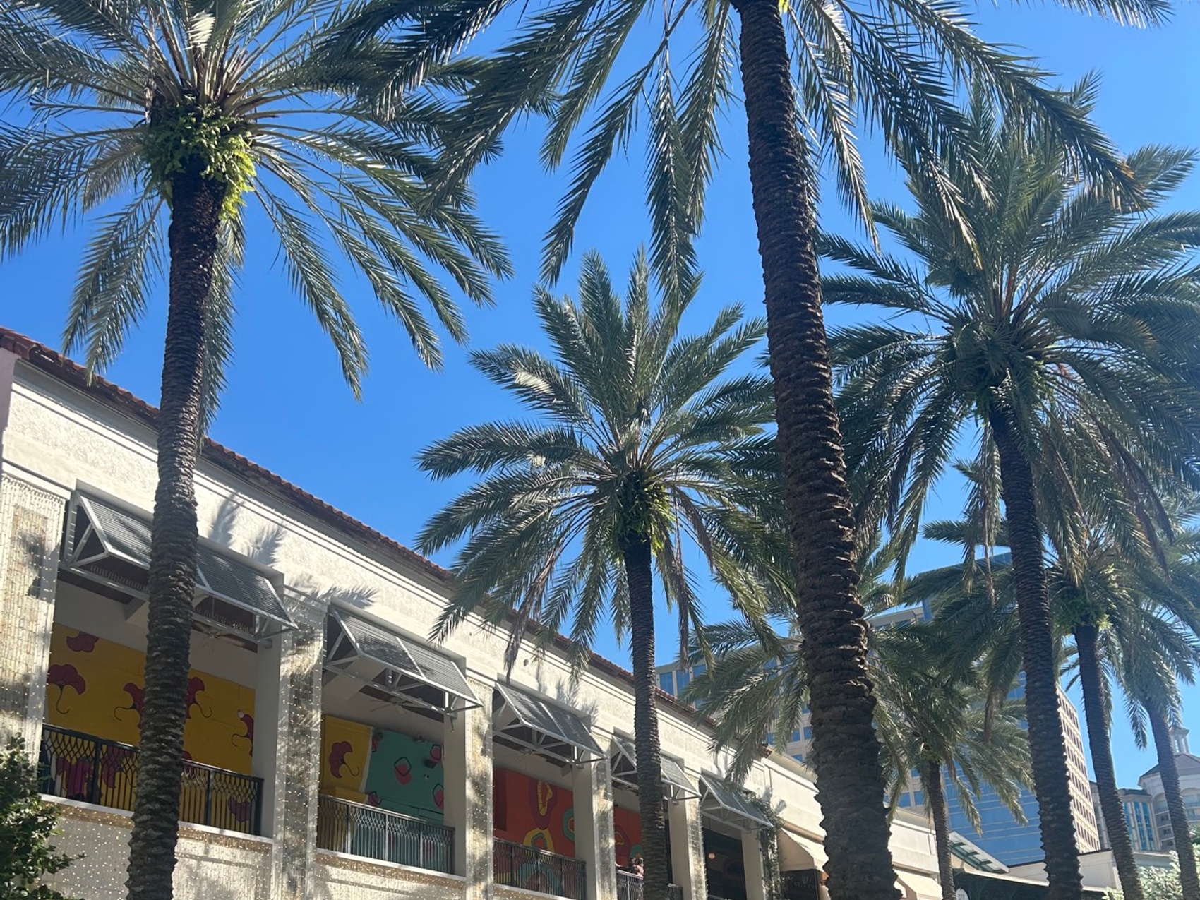 kacper michalik : 296