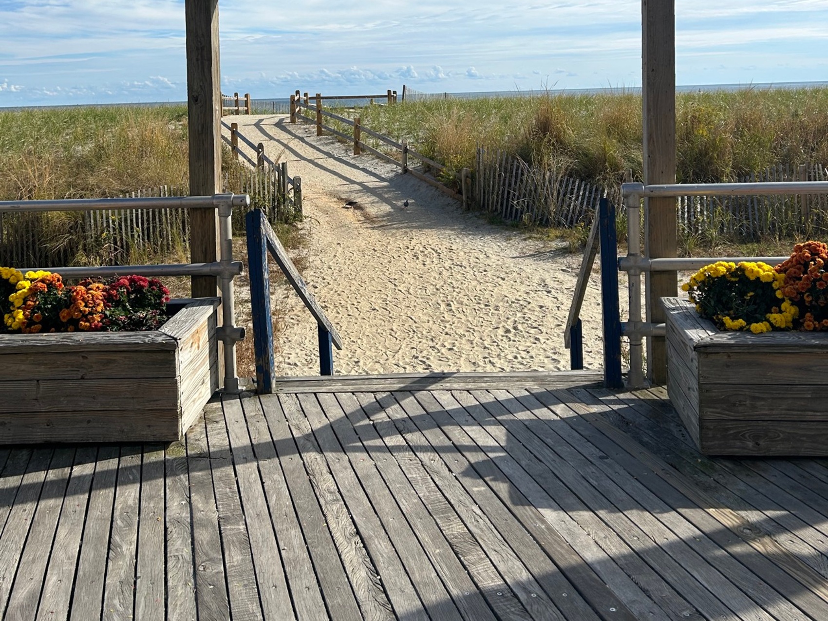 kacper michalik : 90