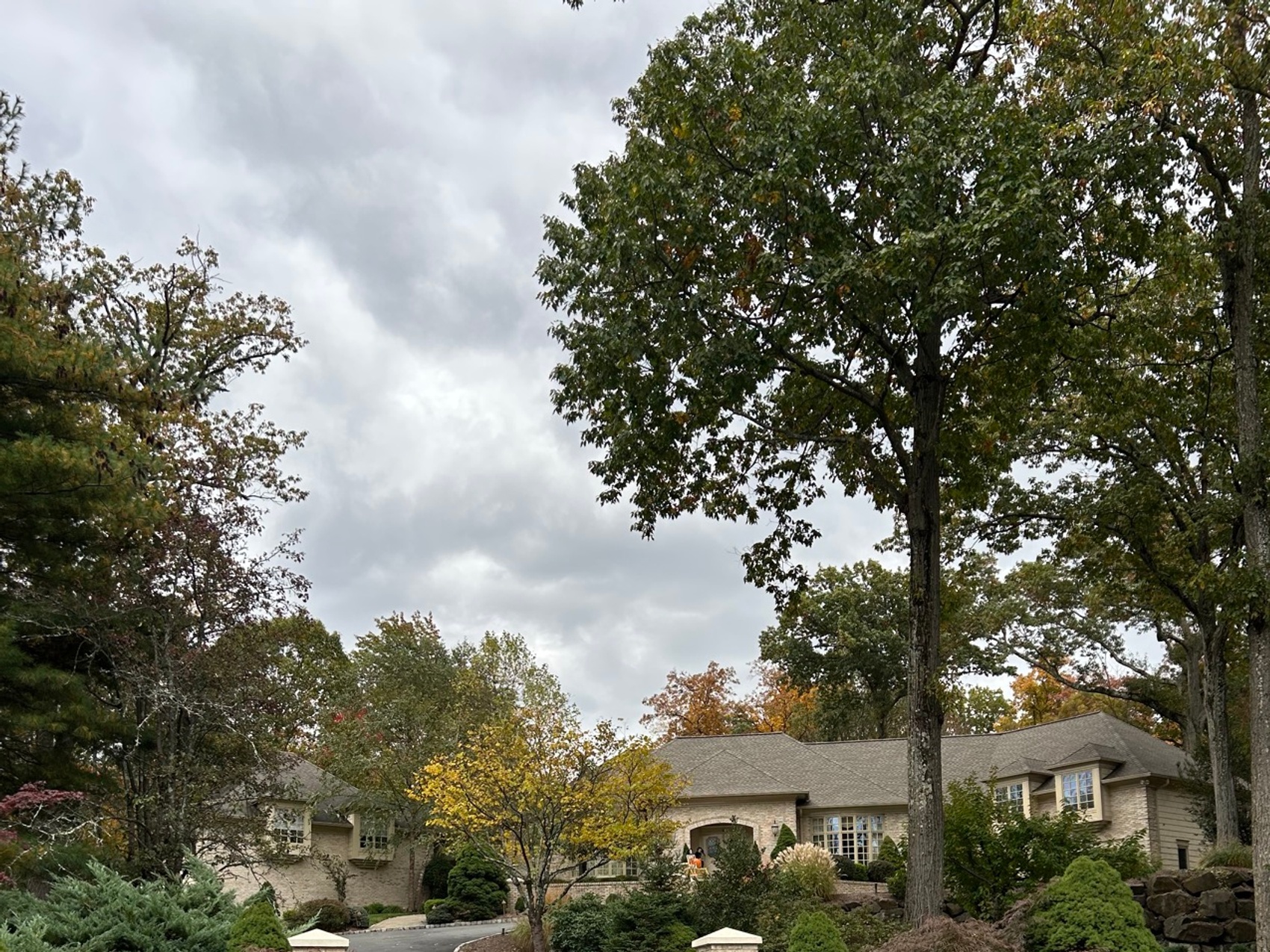 kacper michalik : 69