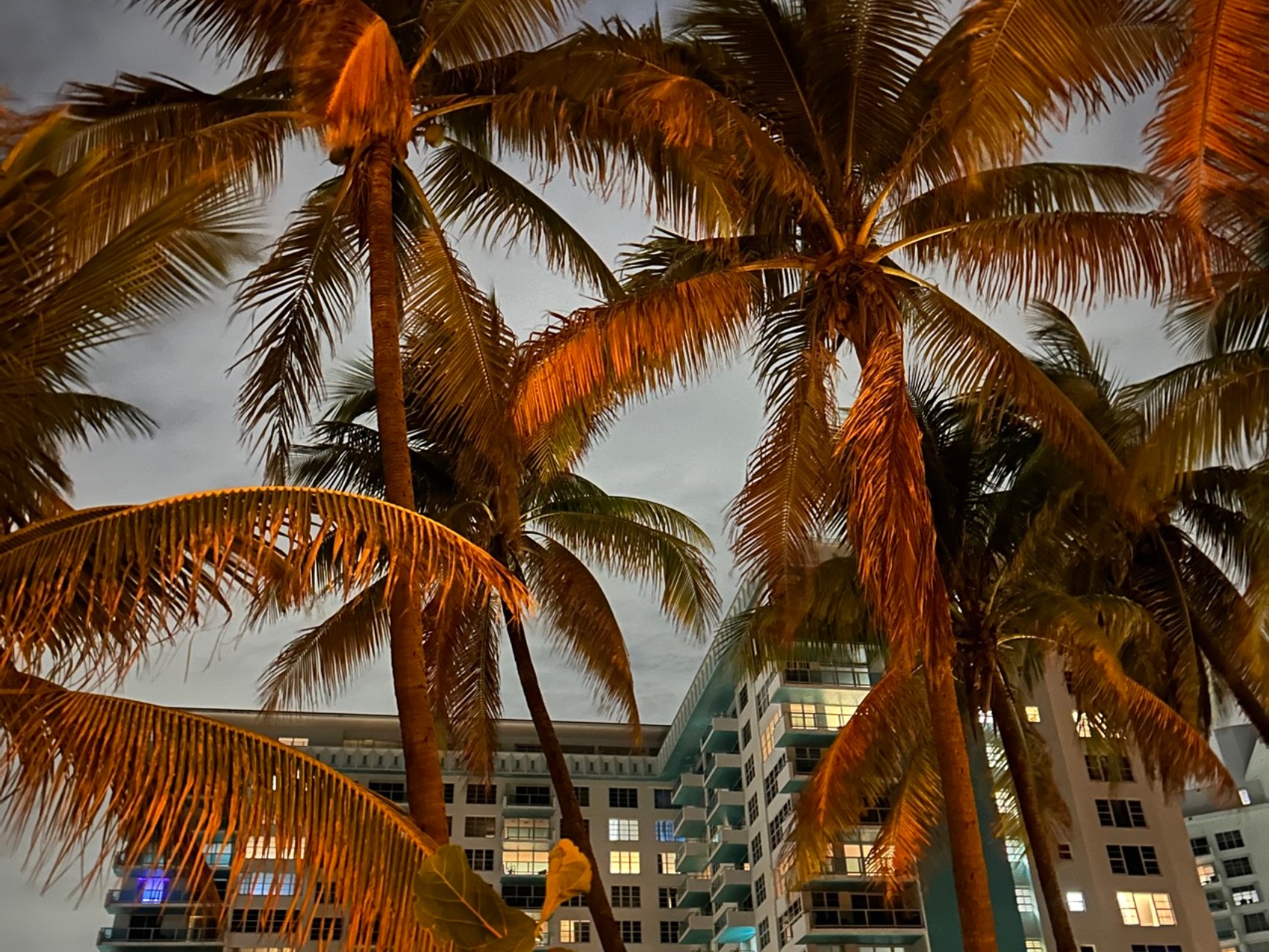 kacper michalik : 300