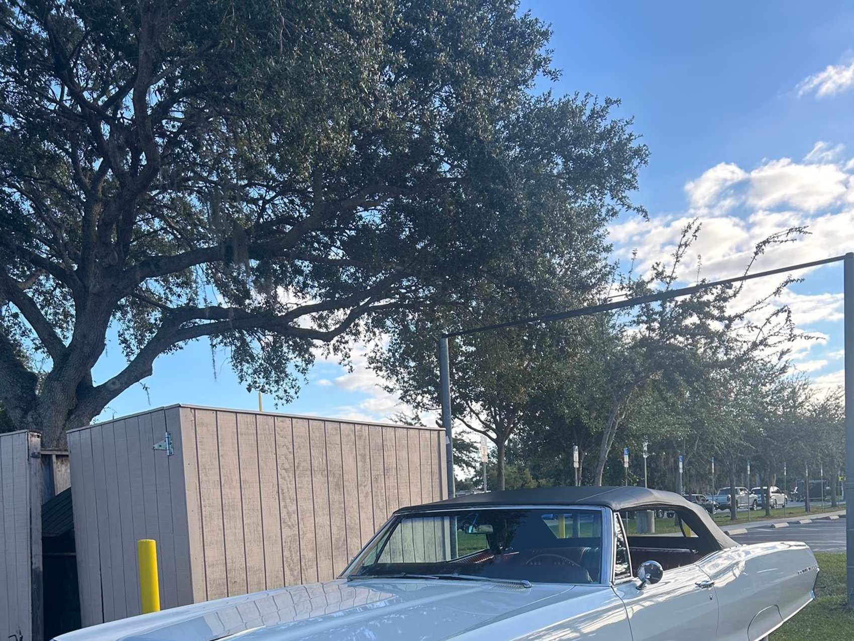 kacper michalik : 271