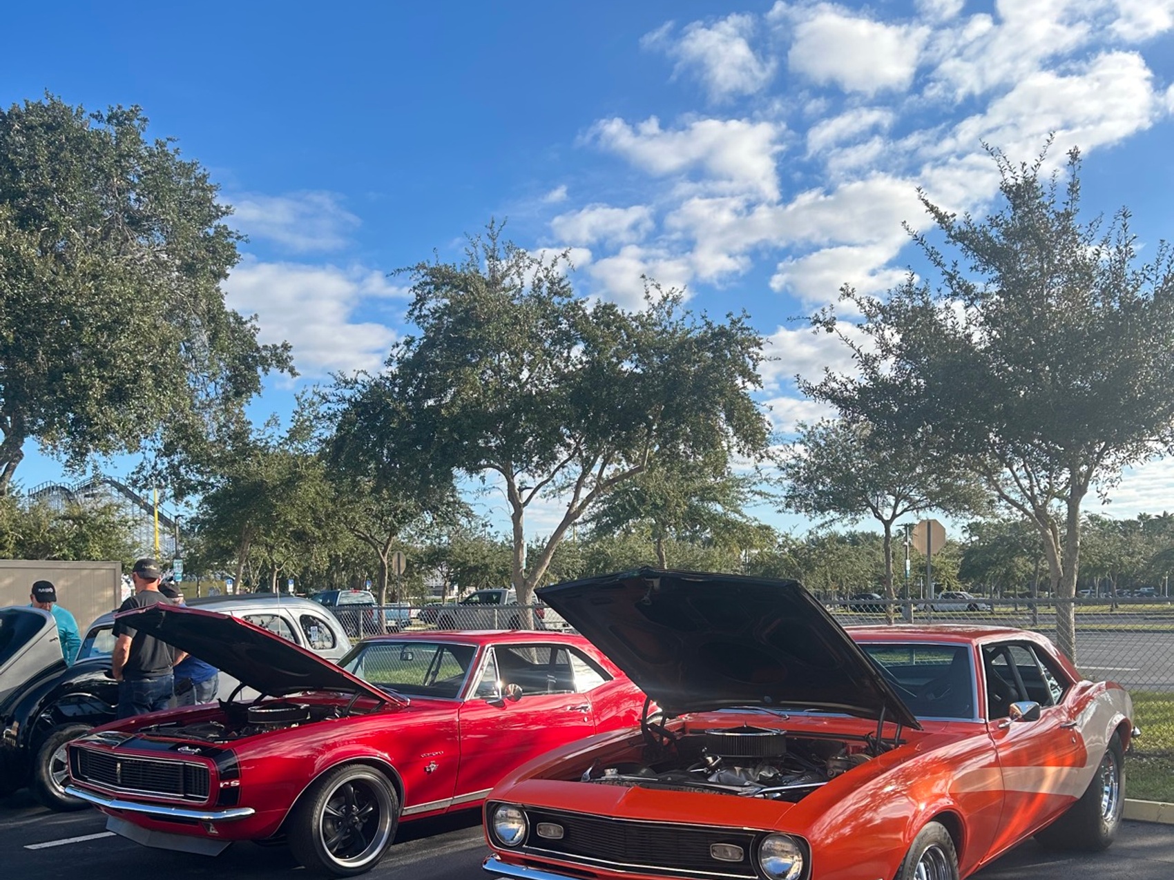 kacper michalik : 274