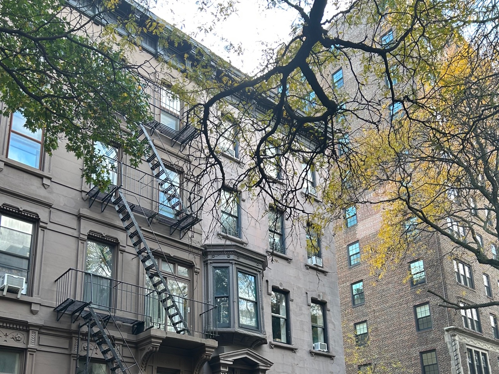 kacper michalik : 519