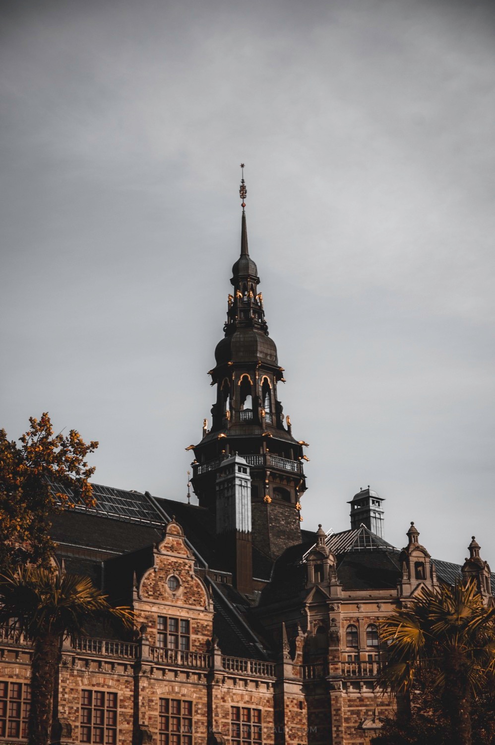 kacper michalik : 12