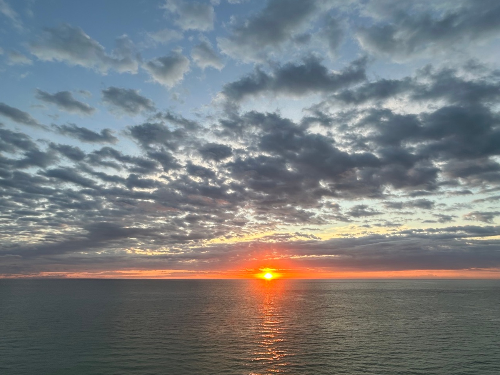 kacper michalik : 306