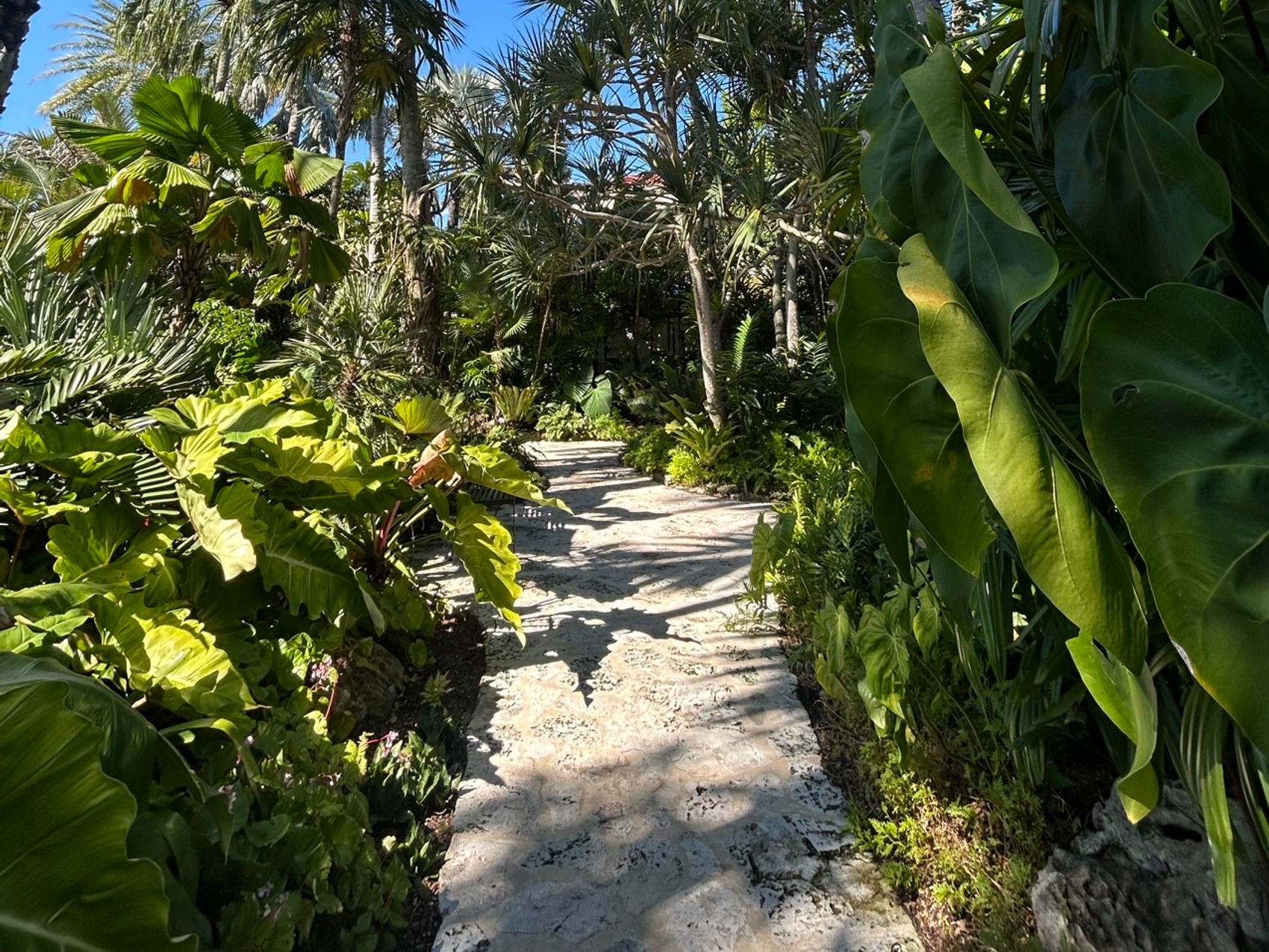 kacper michalik : 295