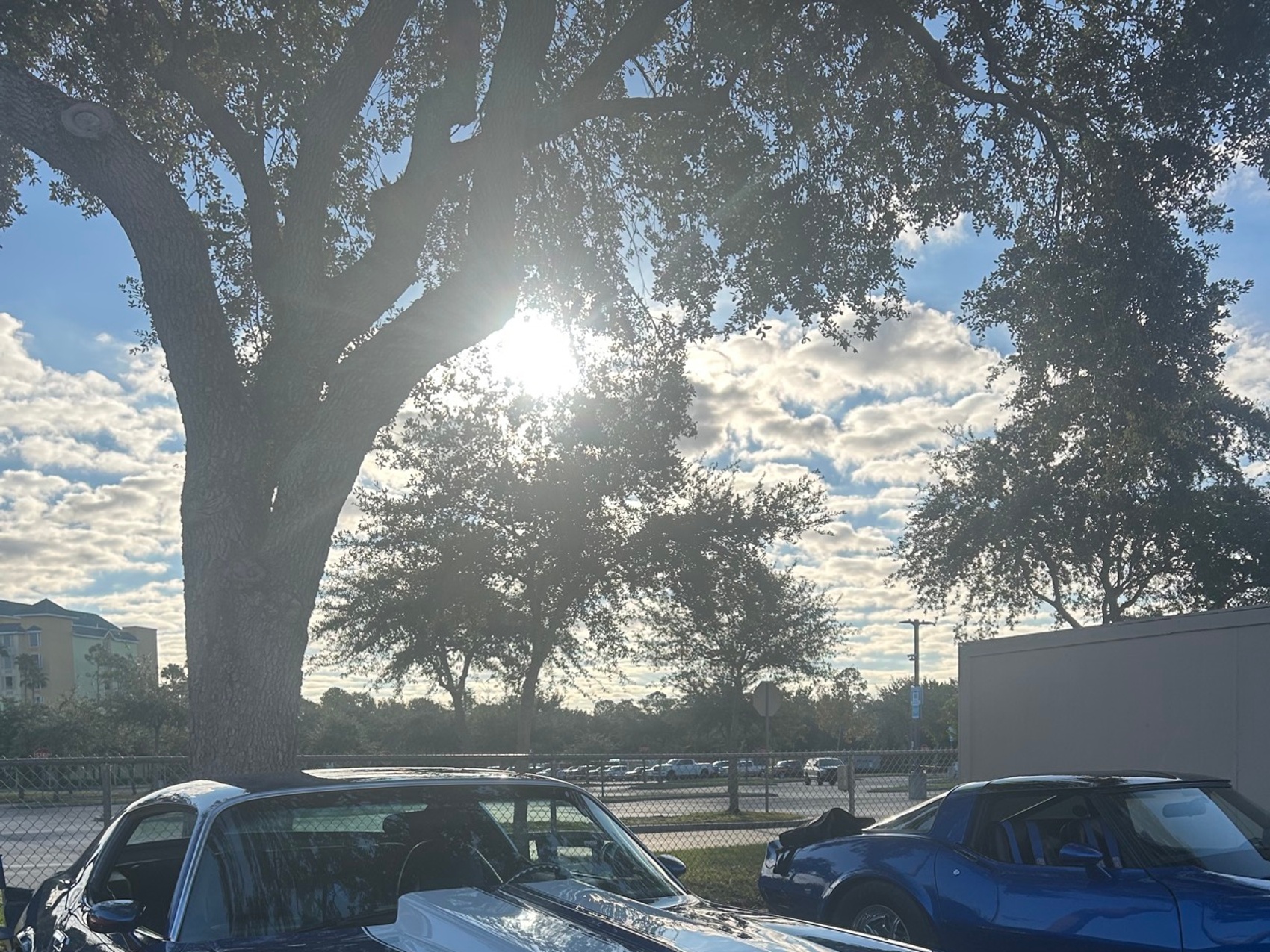 kacper michalik : 267