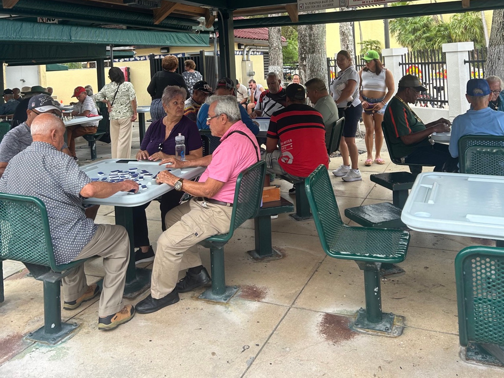 kacper michalik : 383