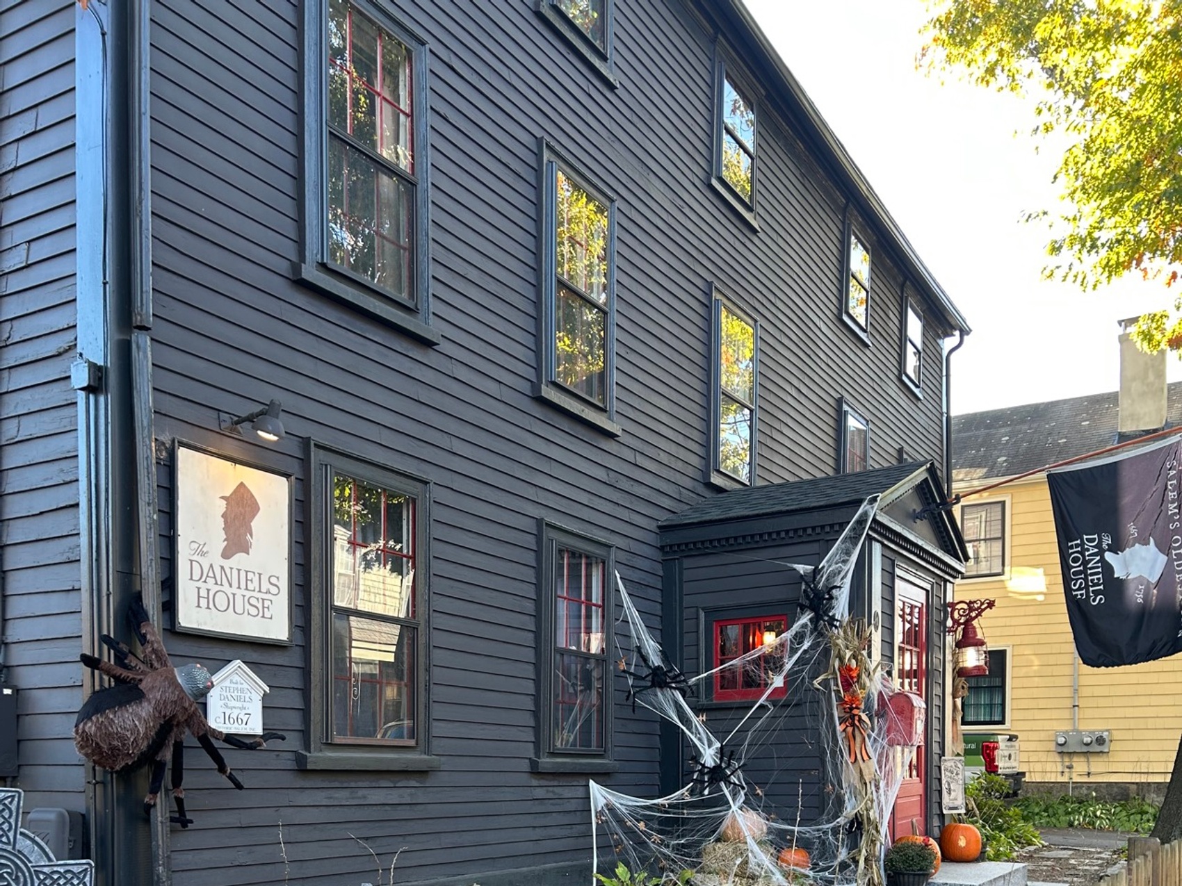 kacper michalik : 43