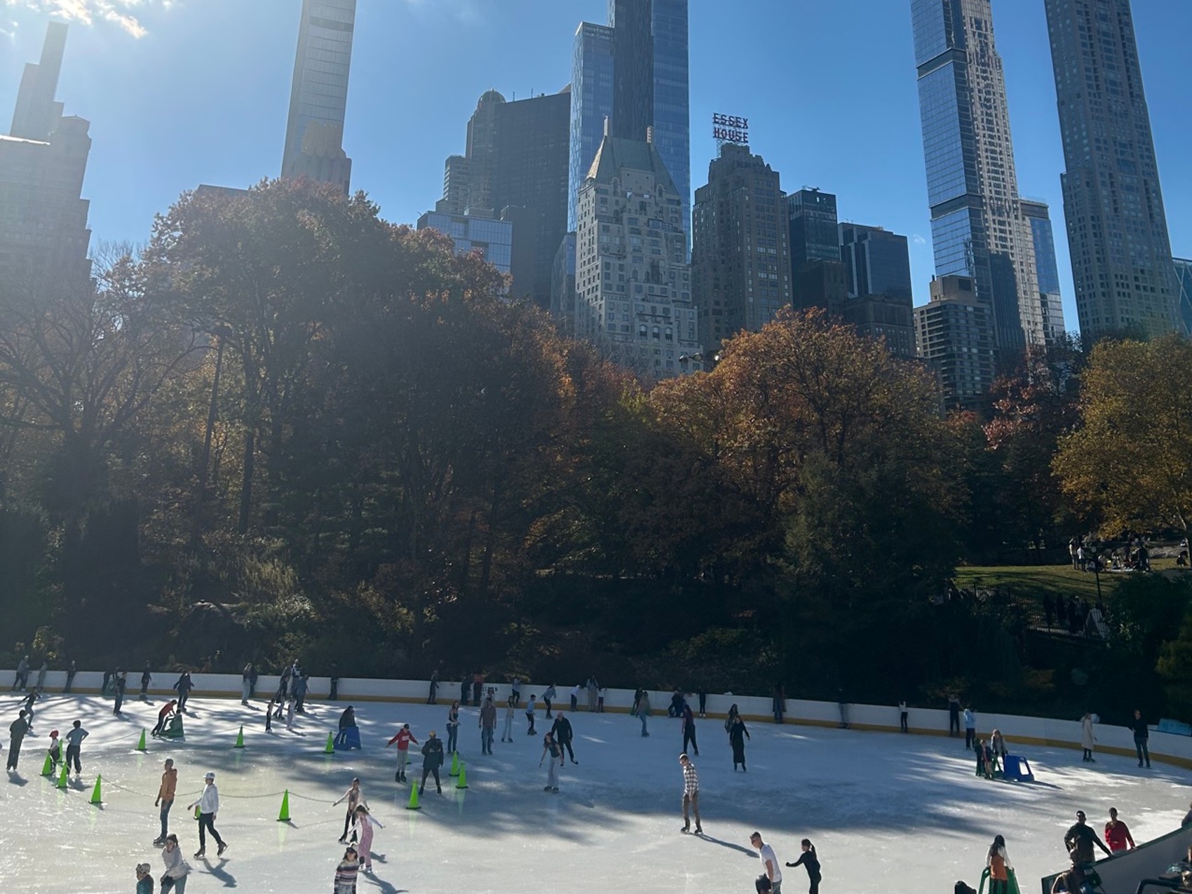 kacper michalik : 494