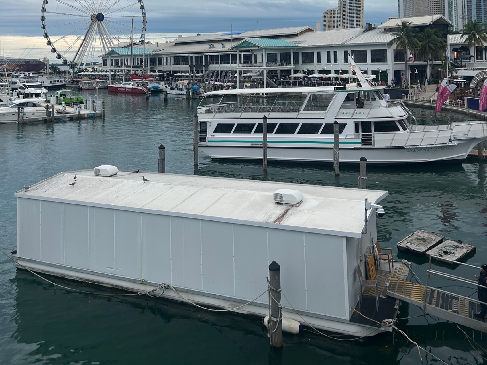 kacper michalik : 346