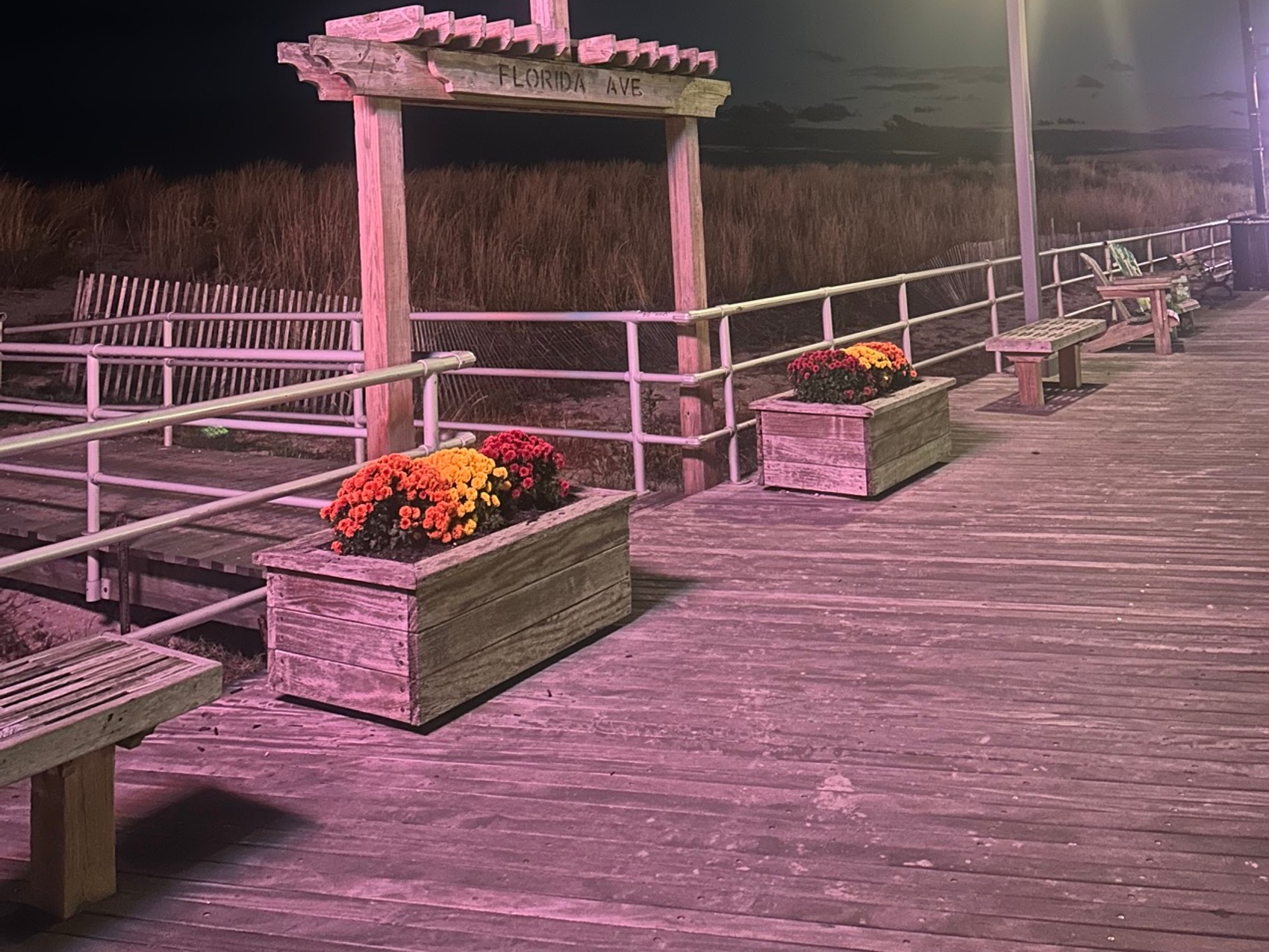 kacper michalik : 103