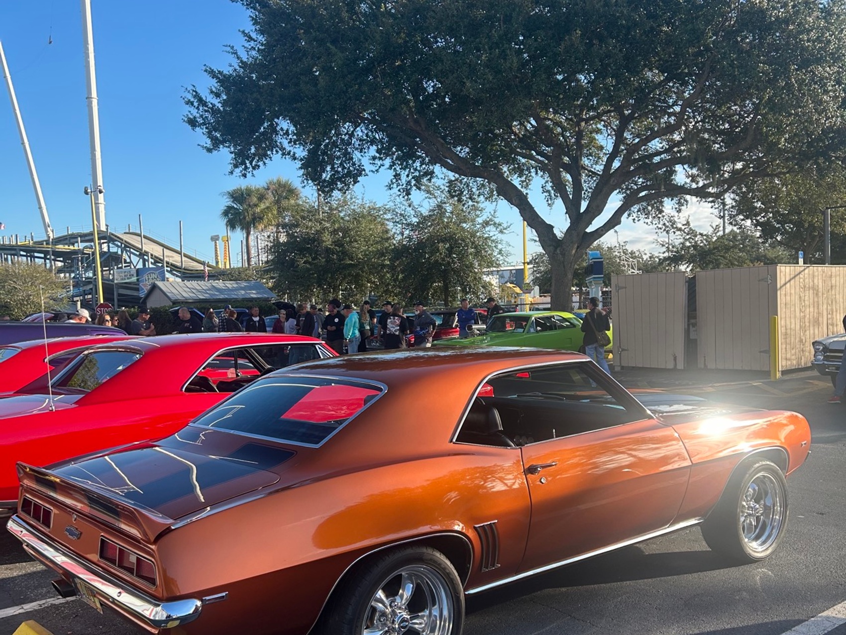 kacper michalik : 262