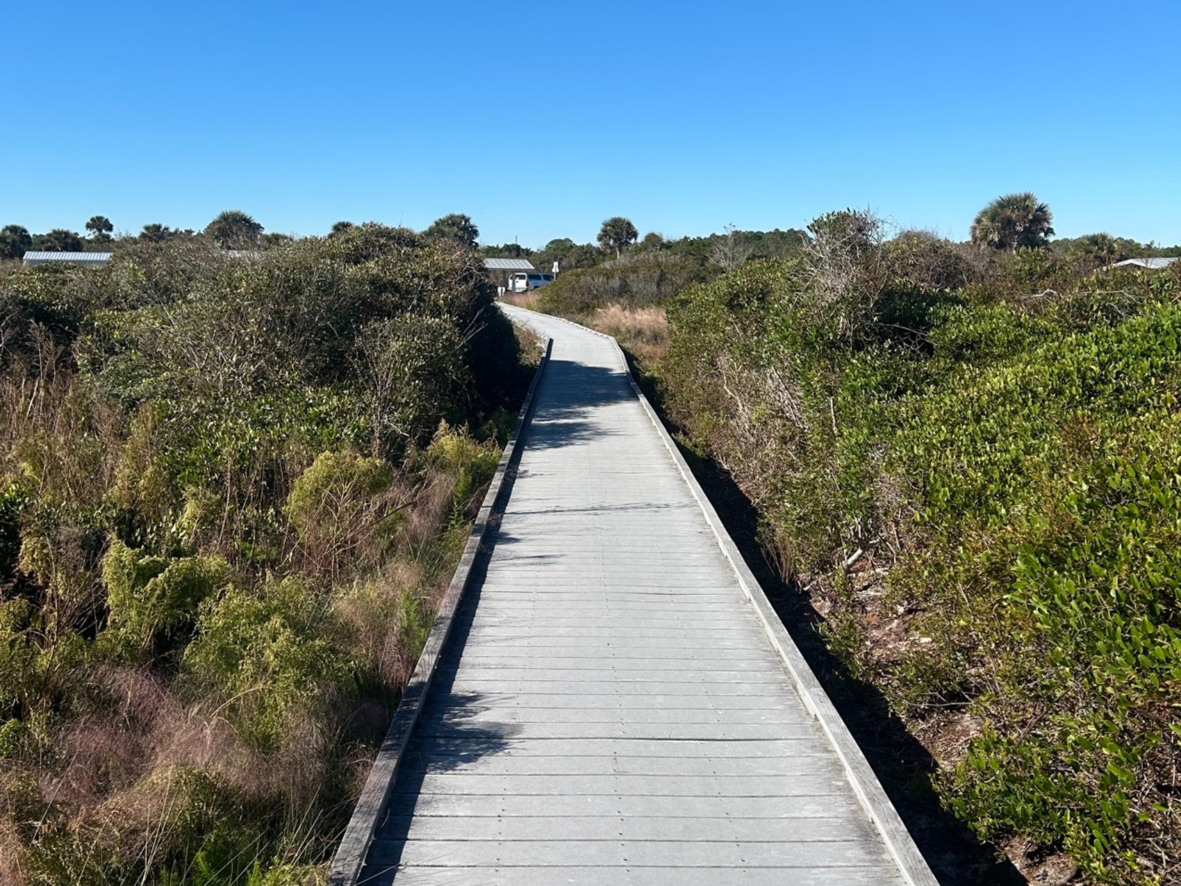 kacper michalik : 215