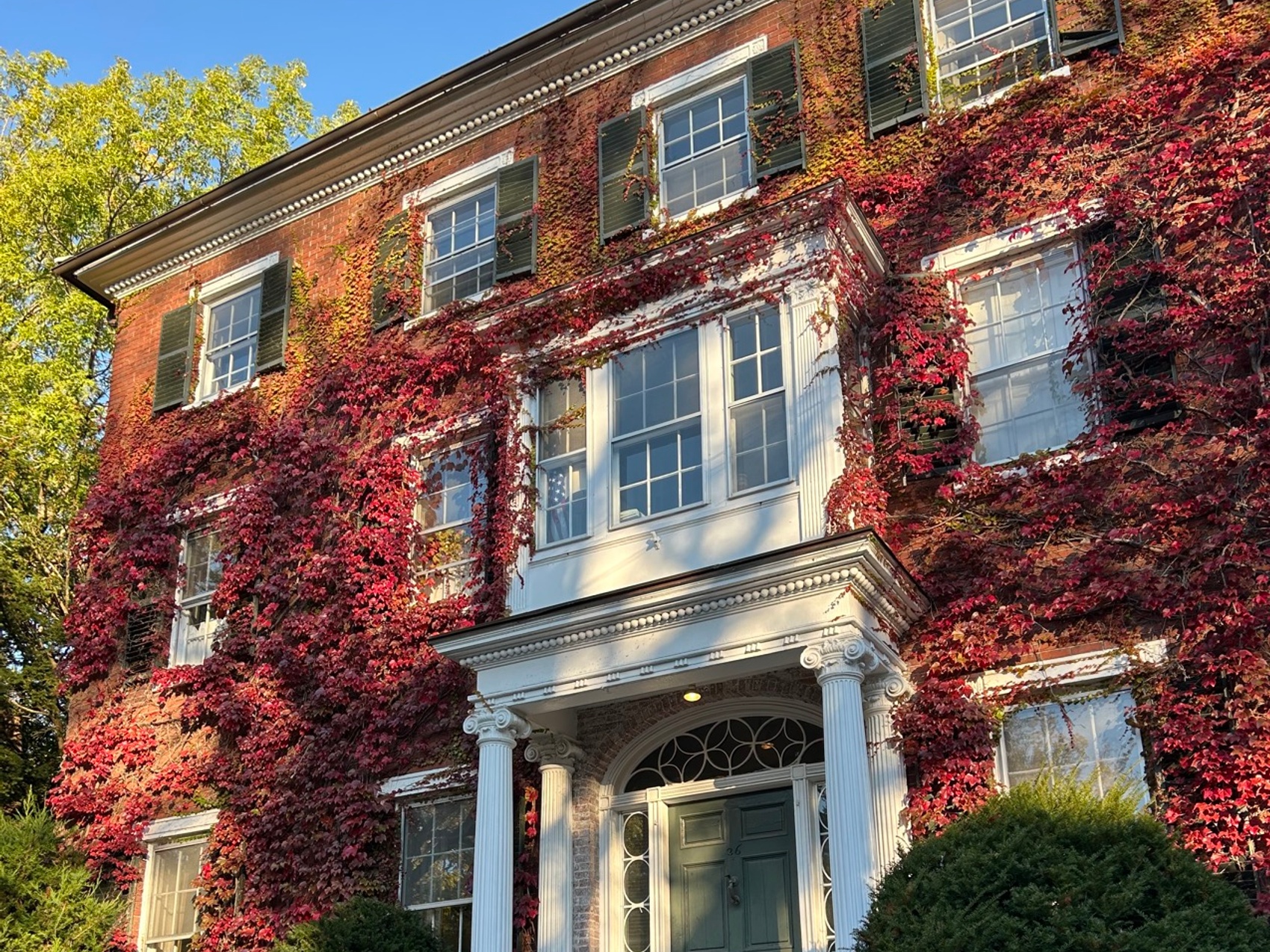 kacper michalik : 37