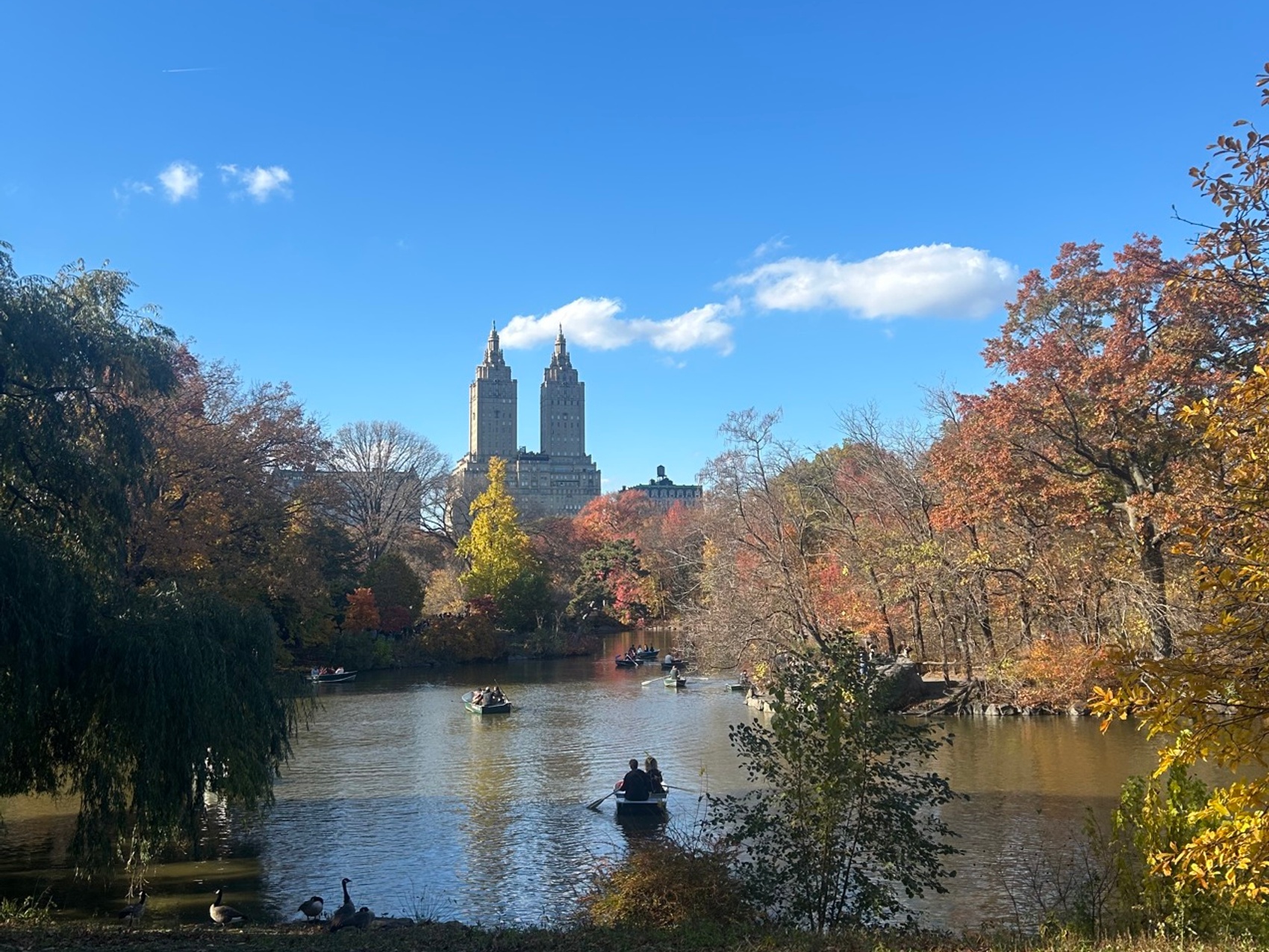 kacper michalik : 497