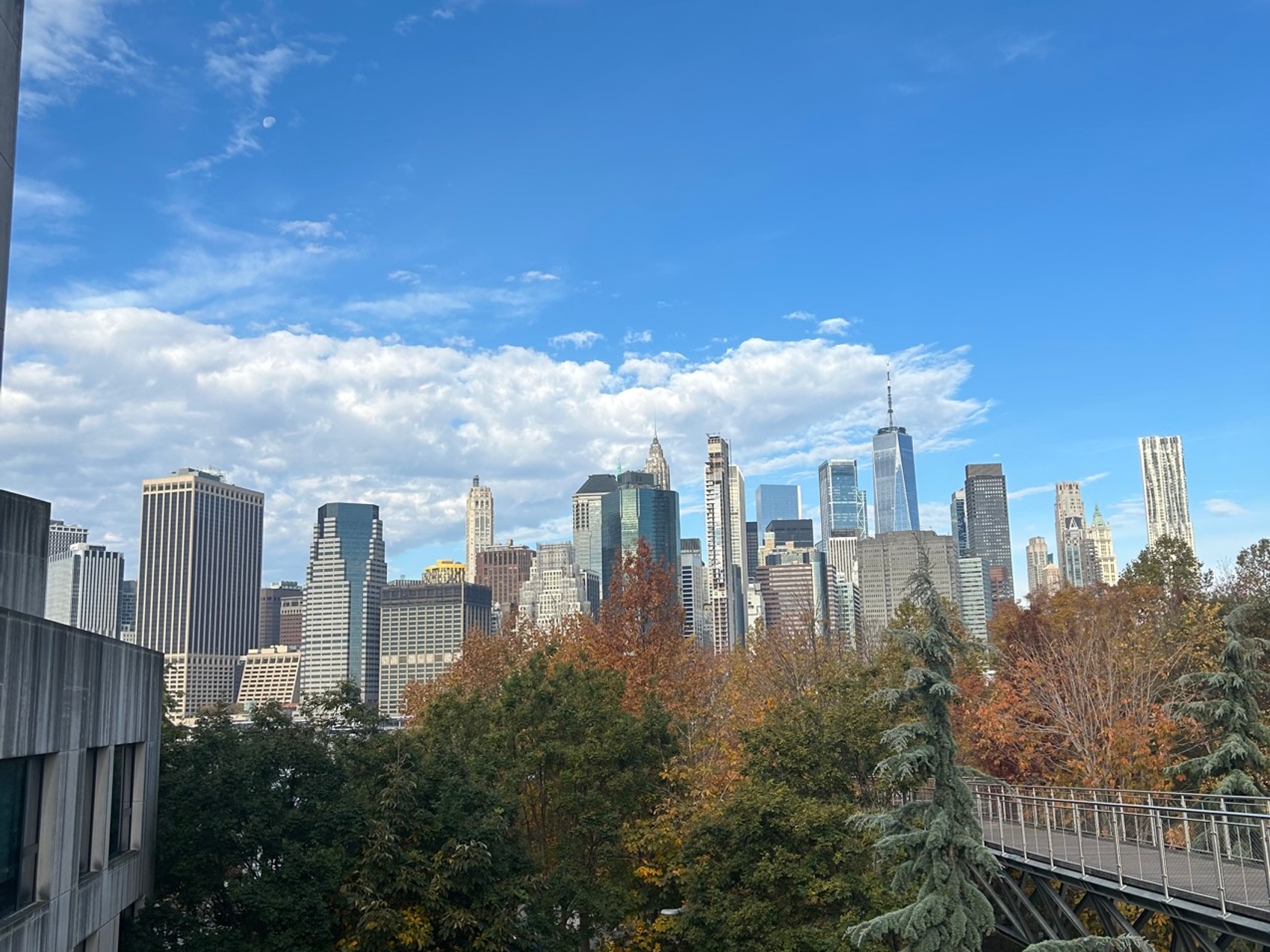 kacper michalik : 518