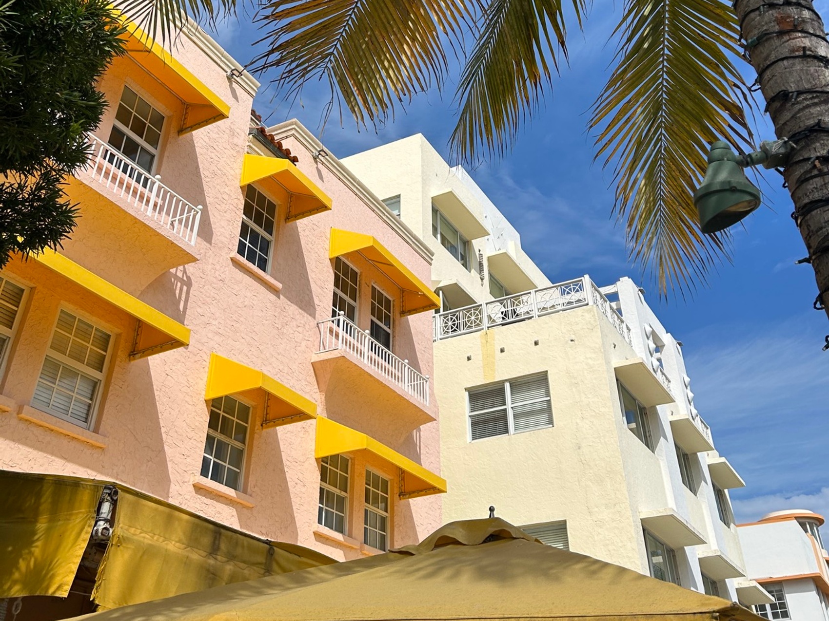 kacper michalik : 427