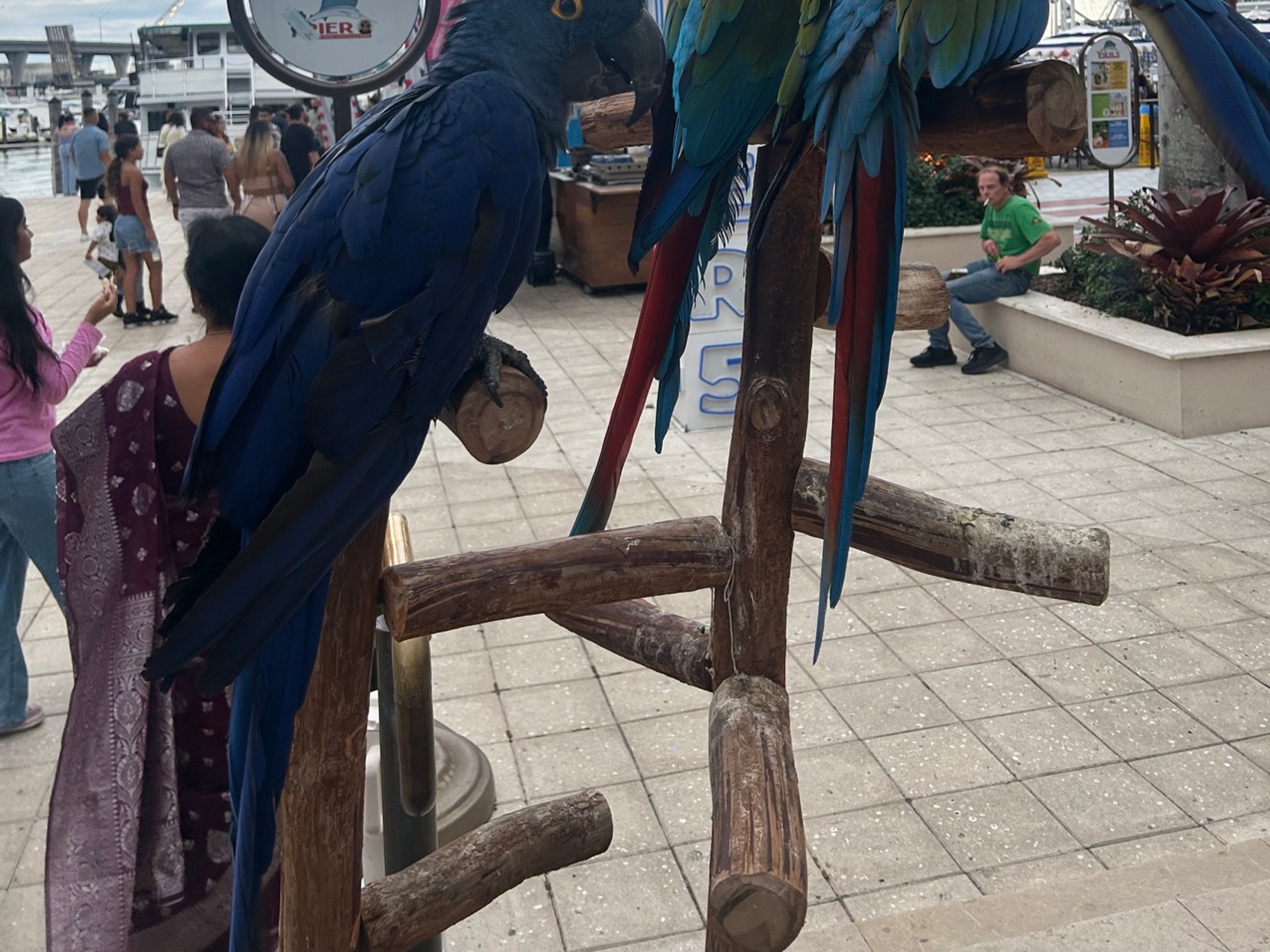 kacper michalik : 348