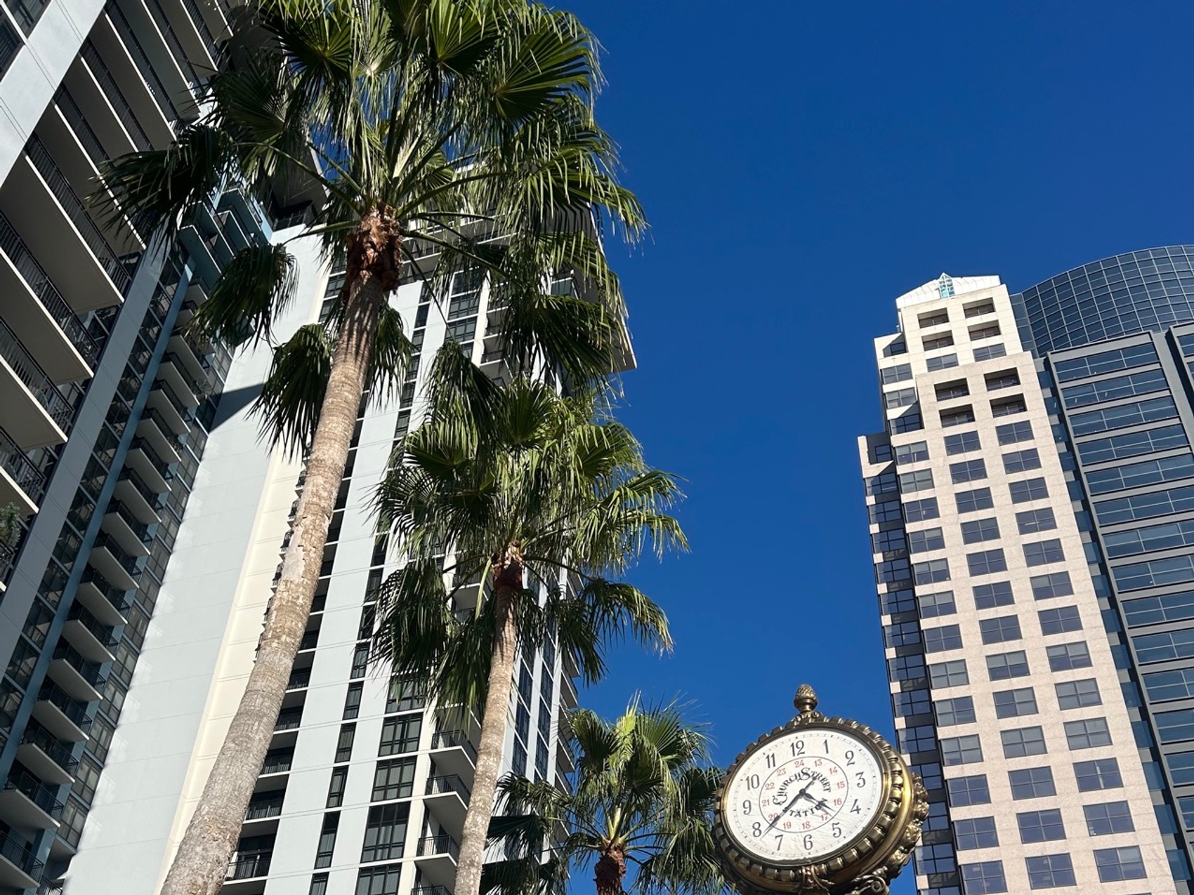 kacper michalik : 230