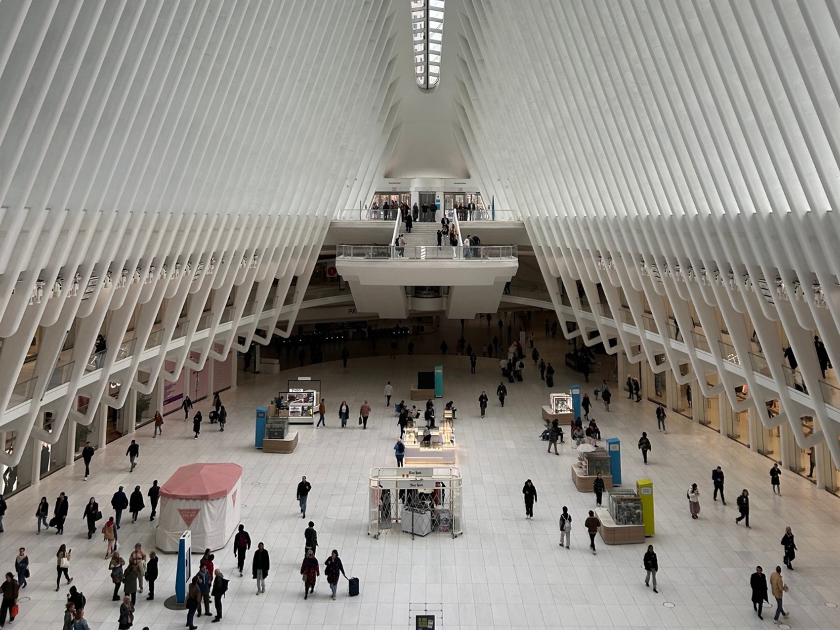 kacper michalik : 448