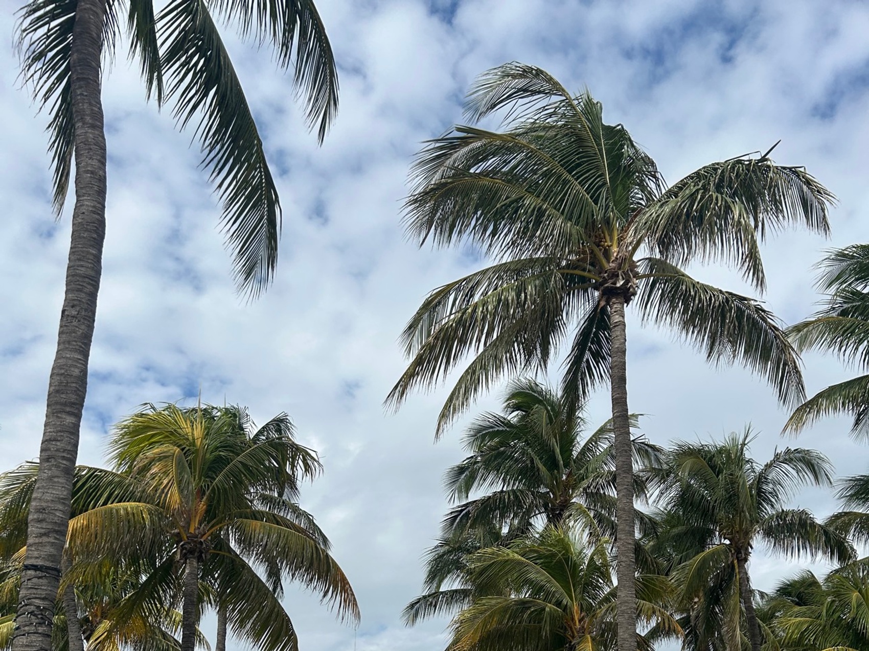 kacper michalik : 315